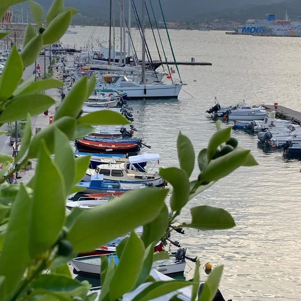 Sea view in Porto Sole Rooms