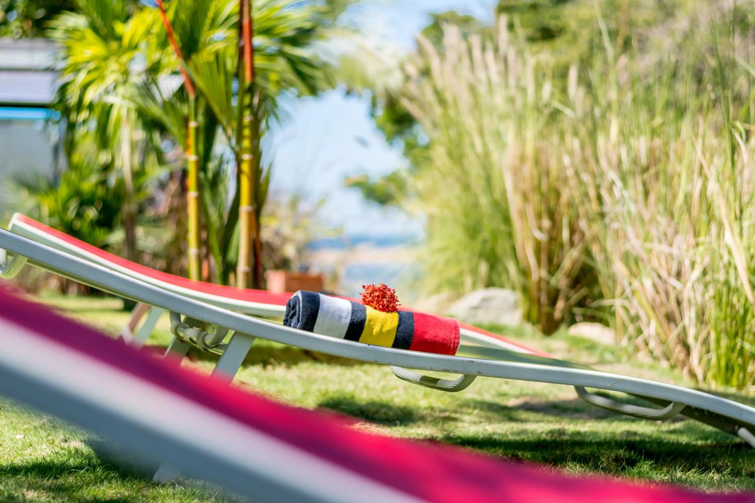 Day in CLUB IBIZA - Party Hotel & Beach Club