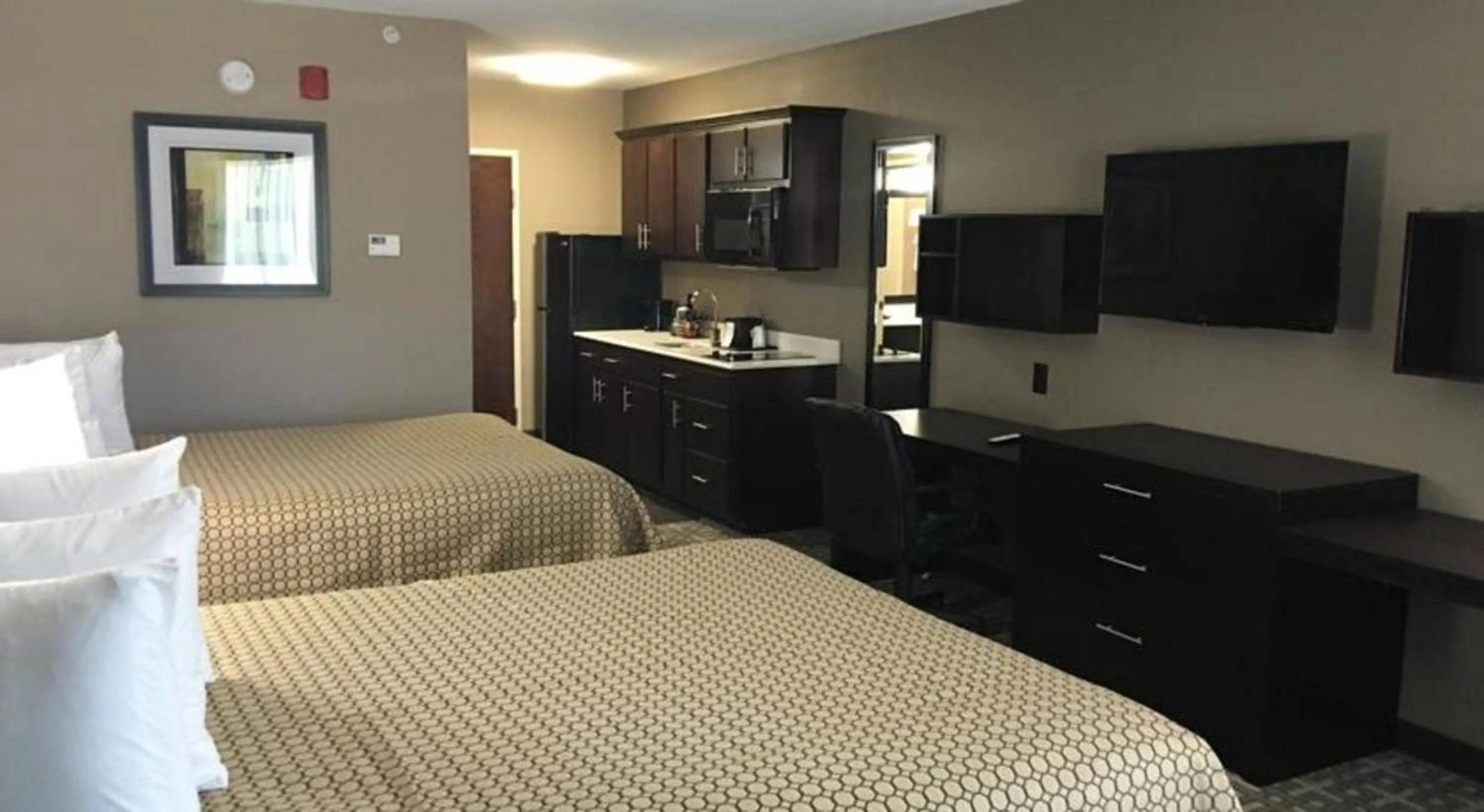 Shower, Bed in Americas Best Value Inn & Suites