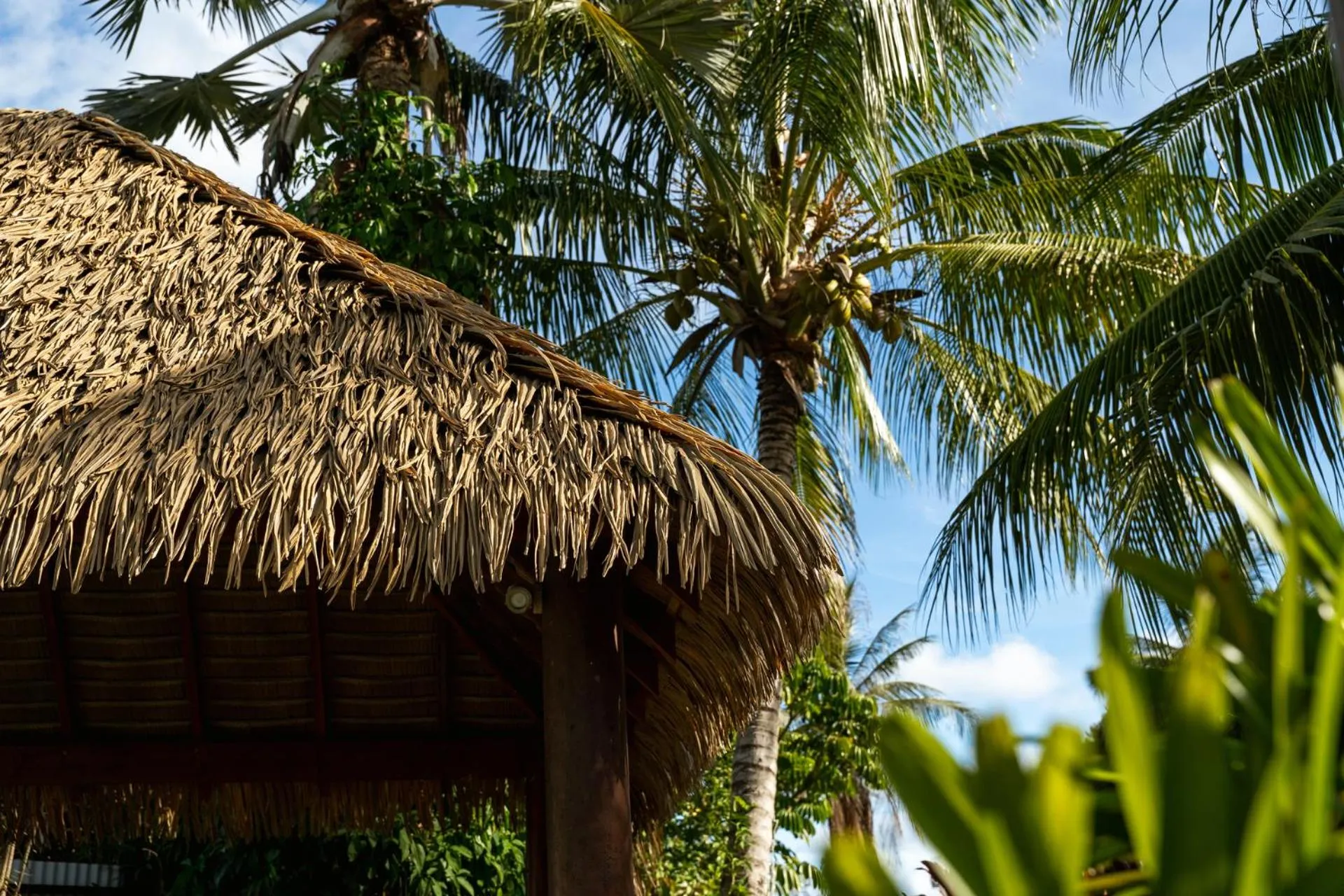 Natural landscape in BIG4 Tasman Holiday Parks - South Mission Beach