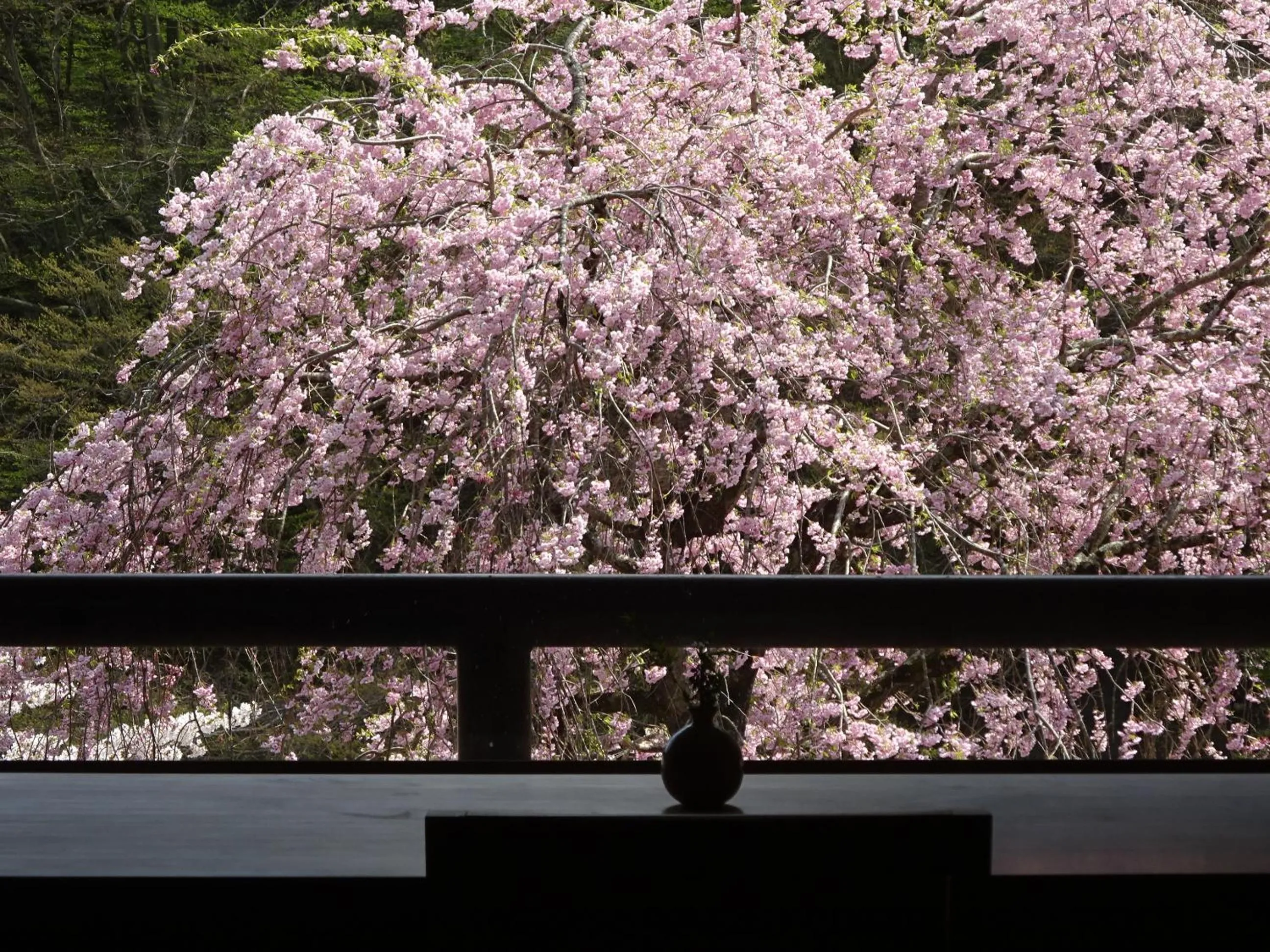 Mountain view in Itamuro Onsen Daikokuya