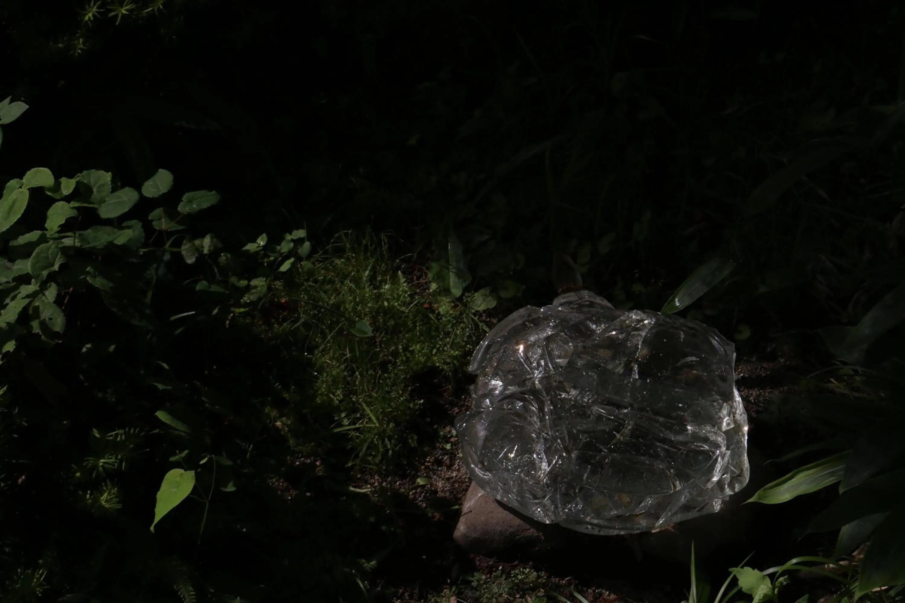 Garden in Itamuro Onsen Daikokuya