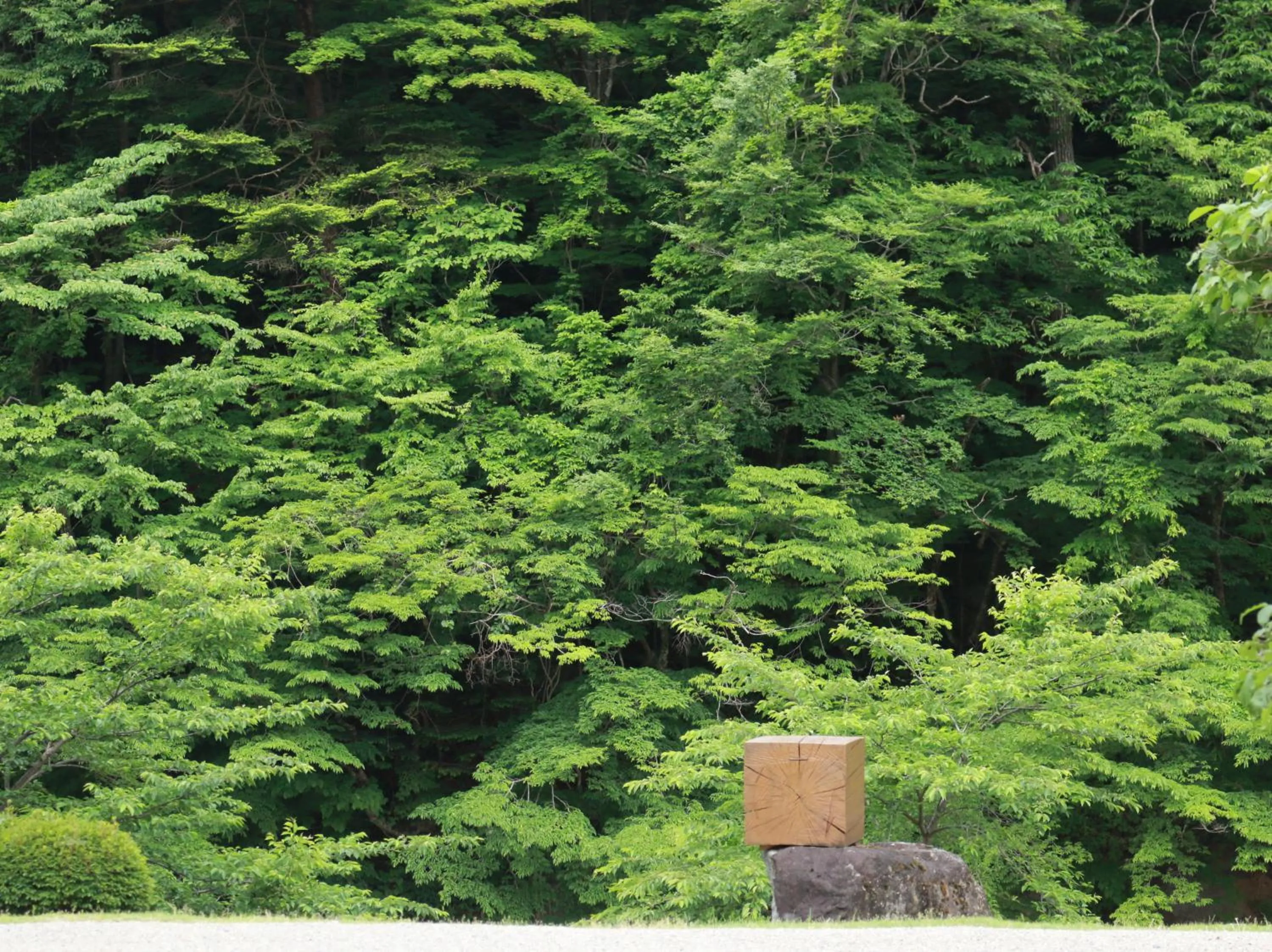 Natural landscape in Itamuro Onsen Daikokuya