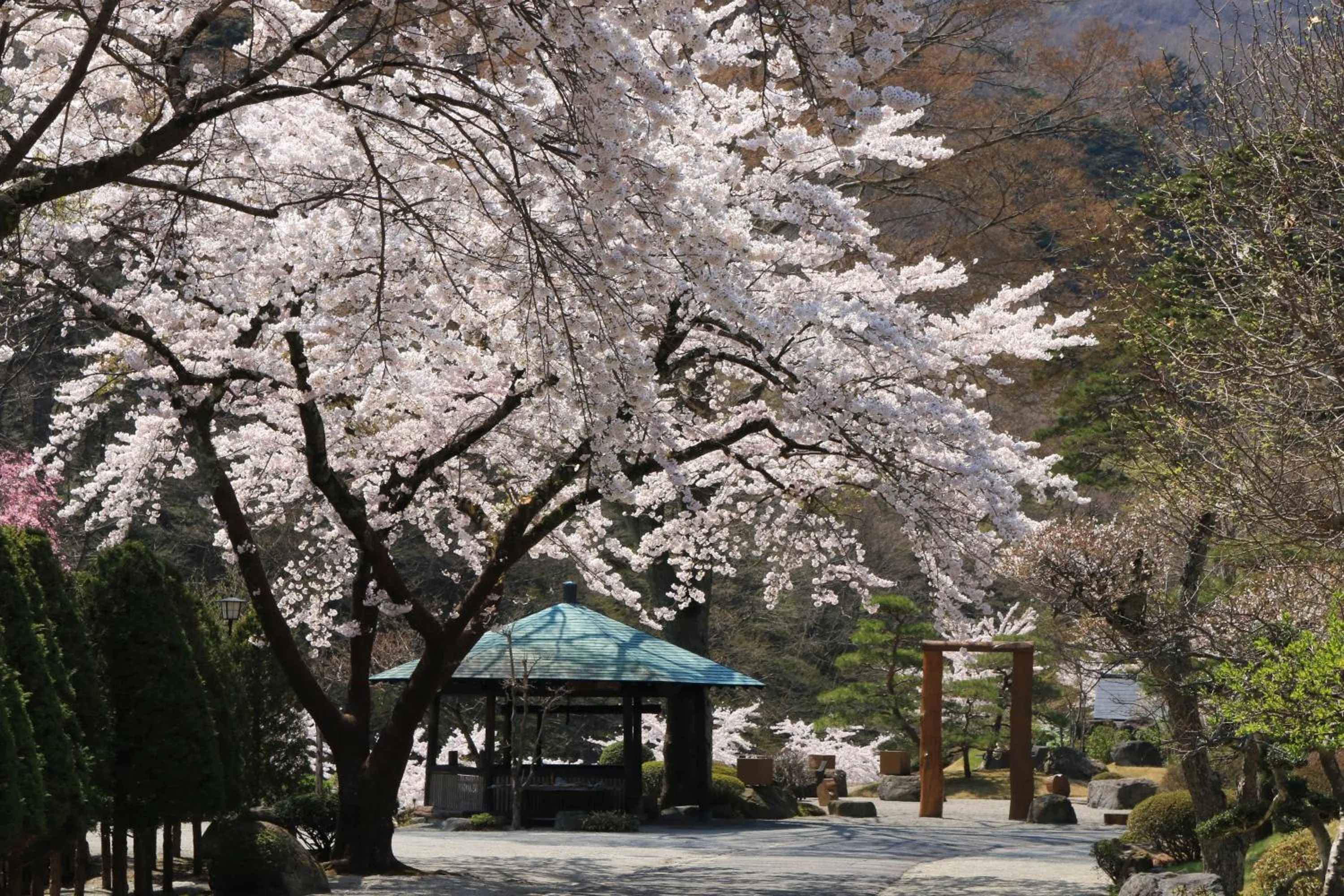 Facade/entrance in Itamuro Onsen Daikokuya