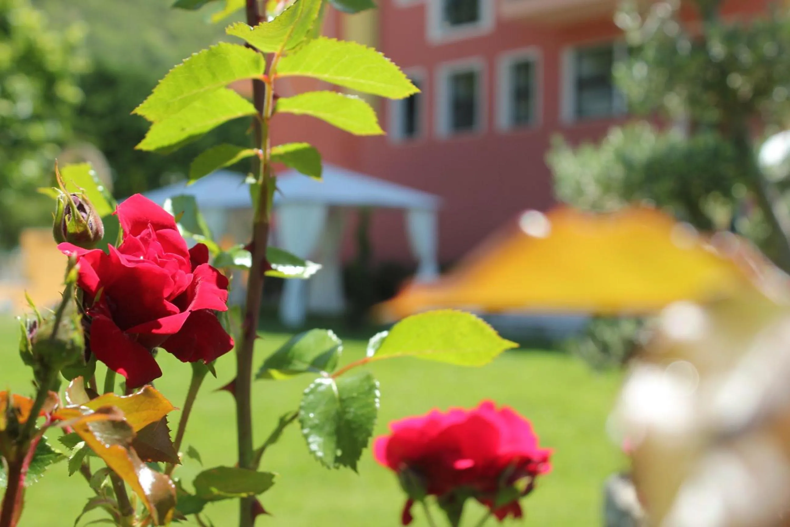 Day in FILIPPONE HOTEL&RISTORANTE