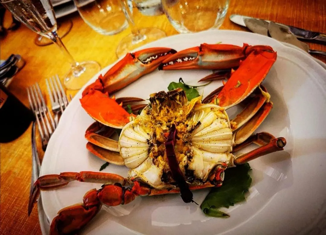 Food in FILIPPONE HOTEL&RISTORANTE