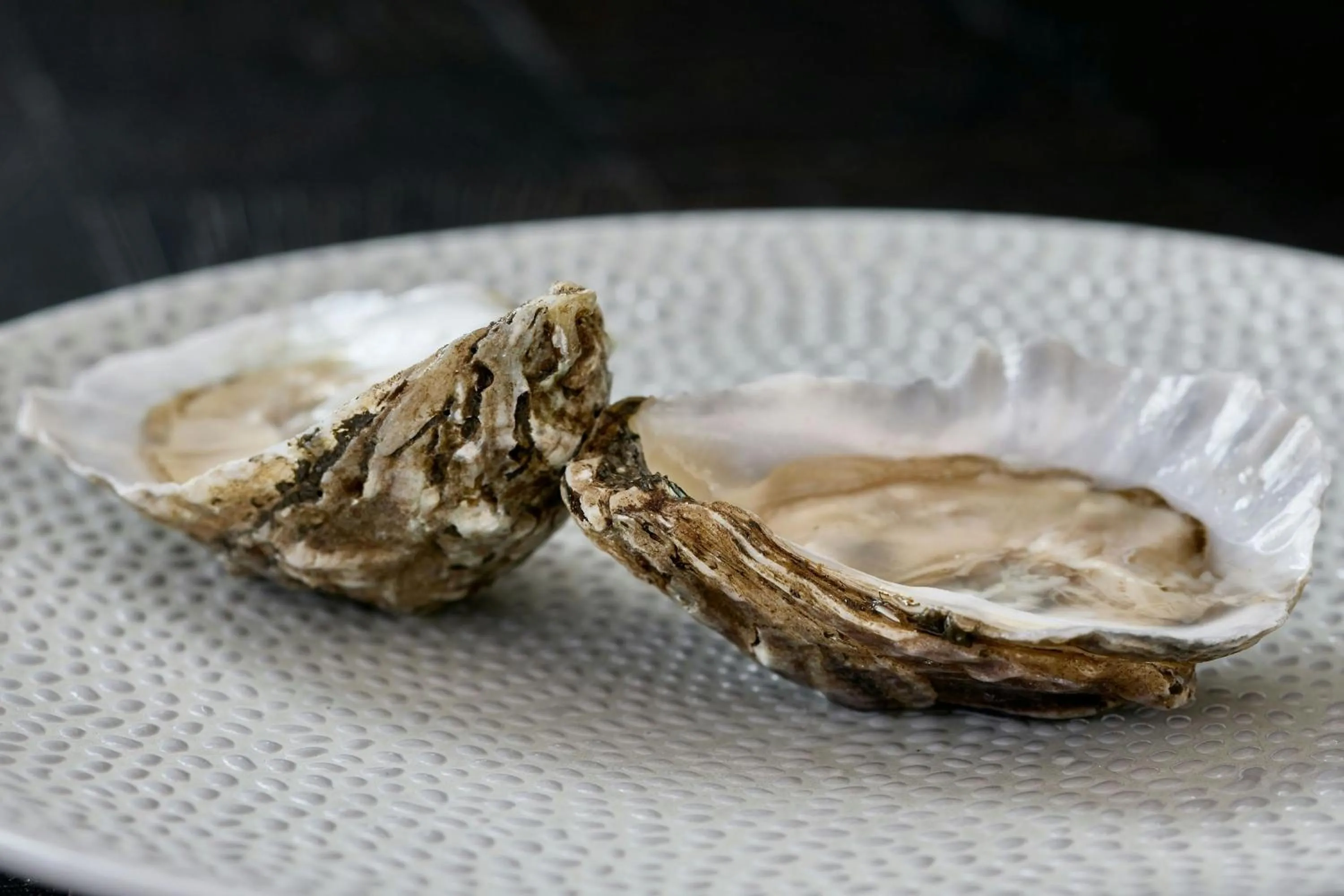 Restaurant/places to eat in The Westin Charlotte