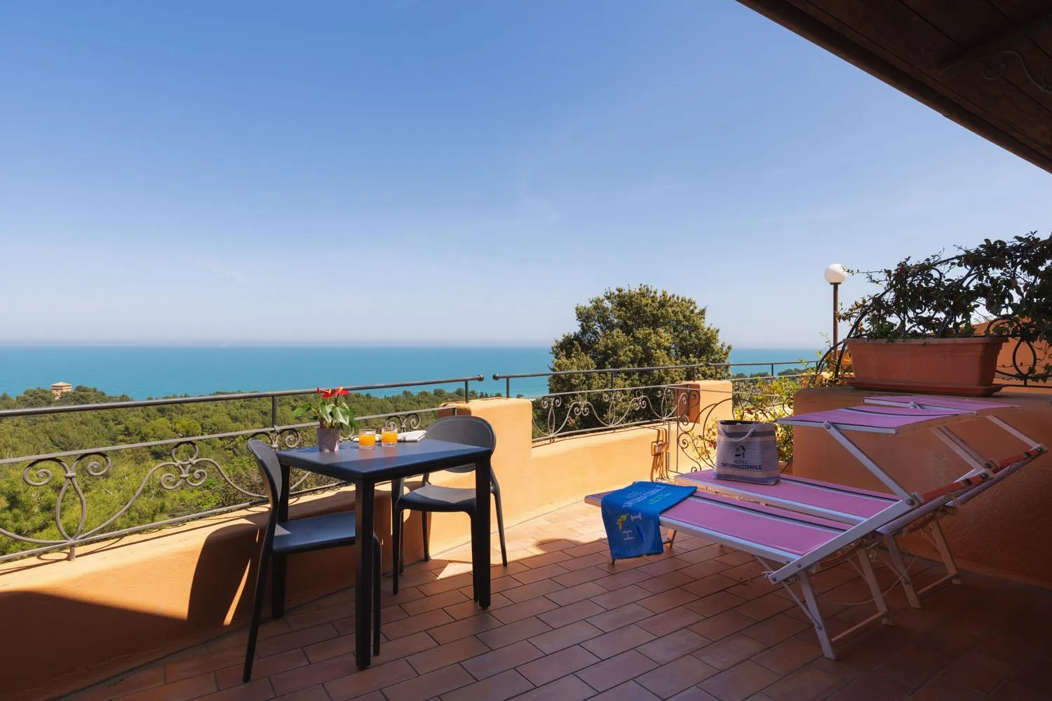 Patio in Hotel Internazionale