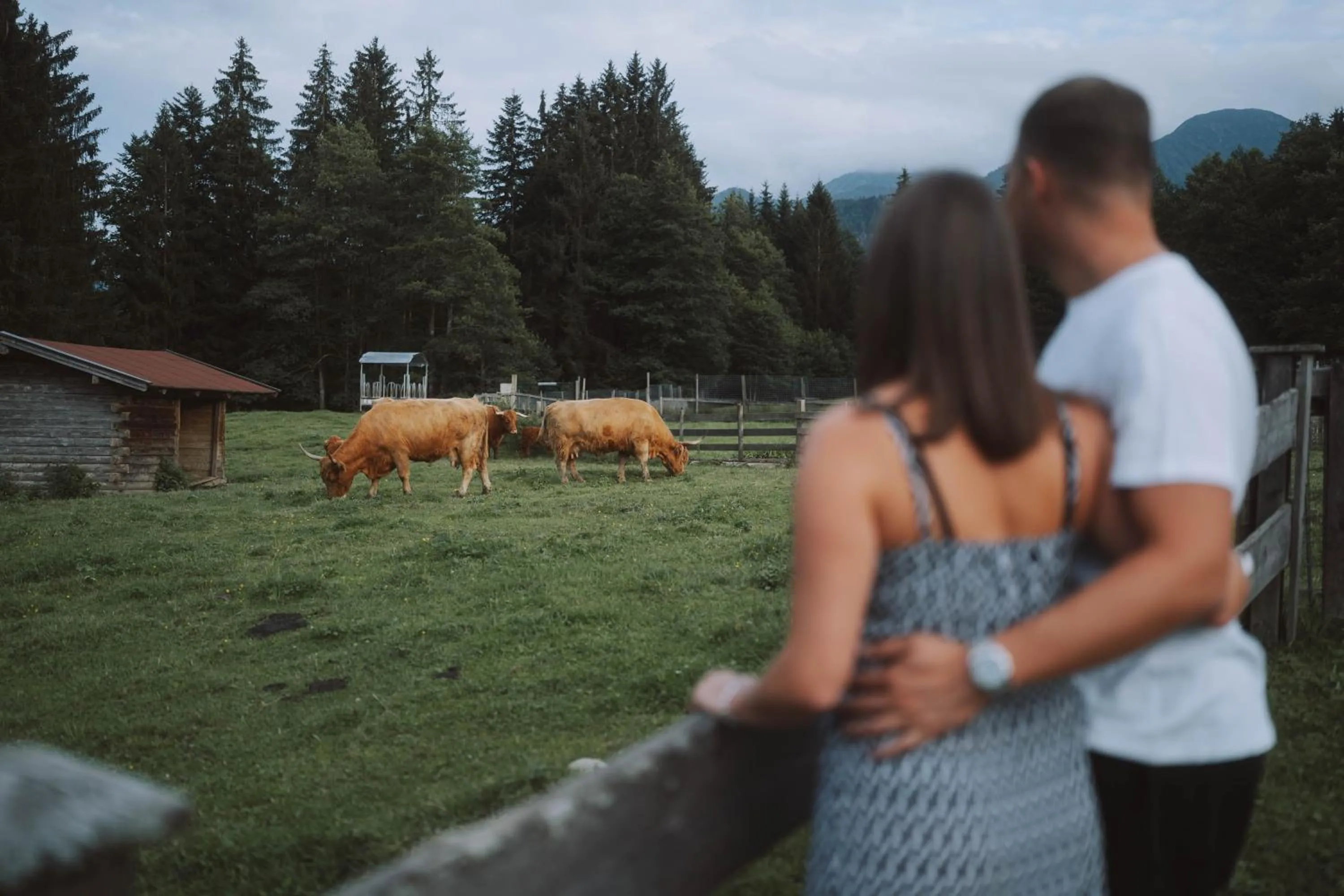 Animals in Farm Hotel Chalet Grosslehen