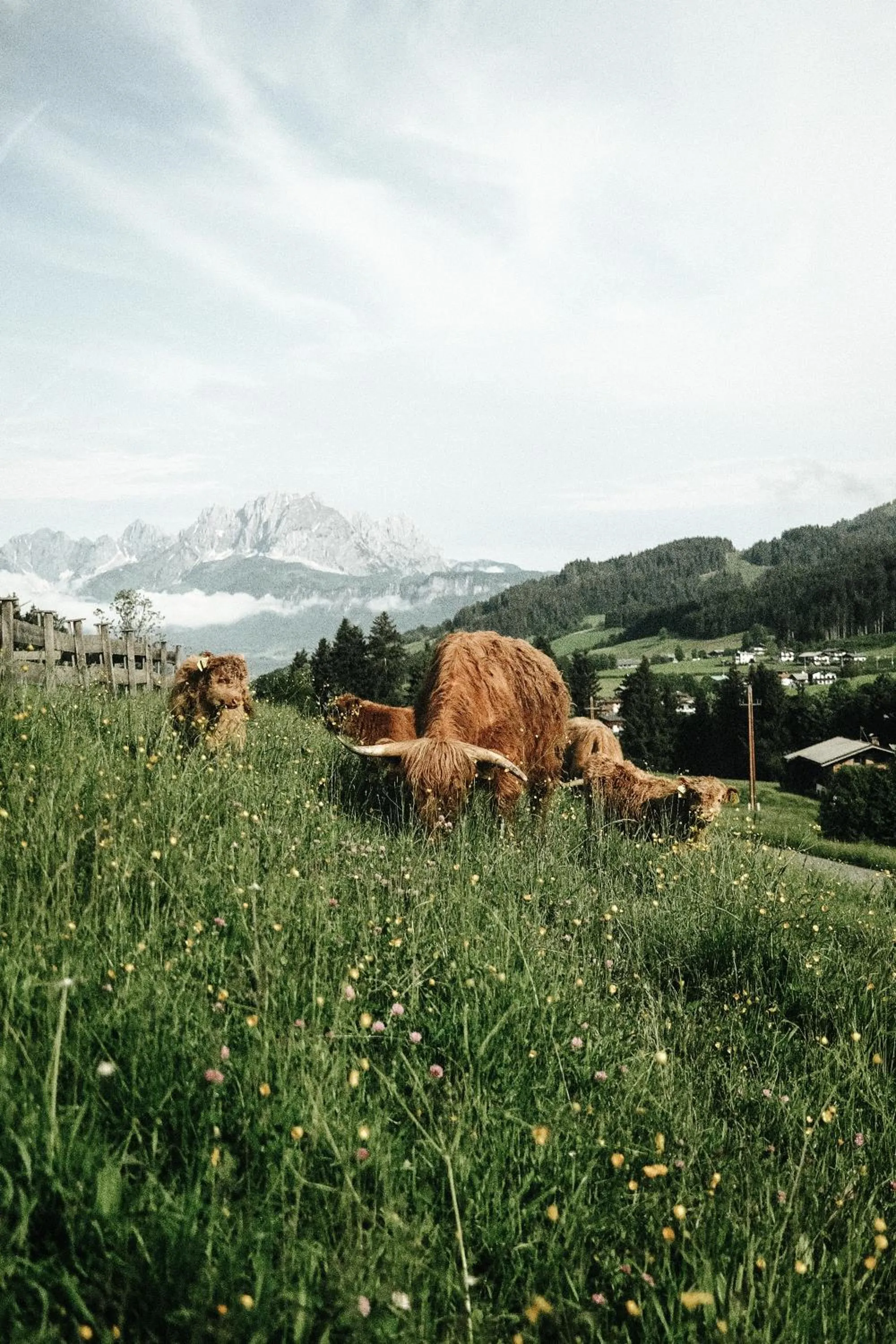 Natural landscape in Farm Hotel Chalet Grosslehen