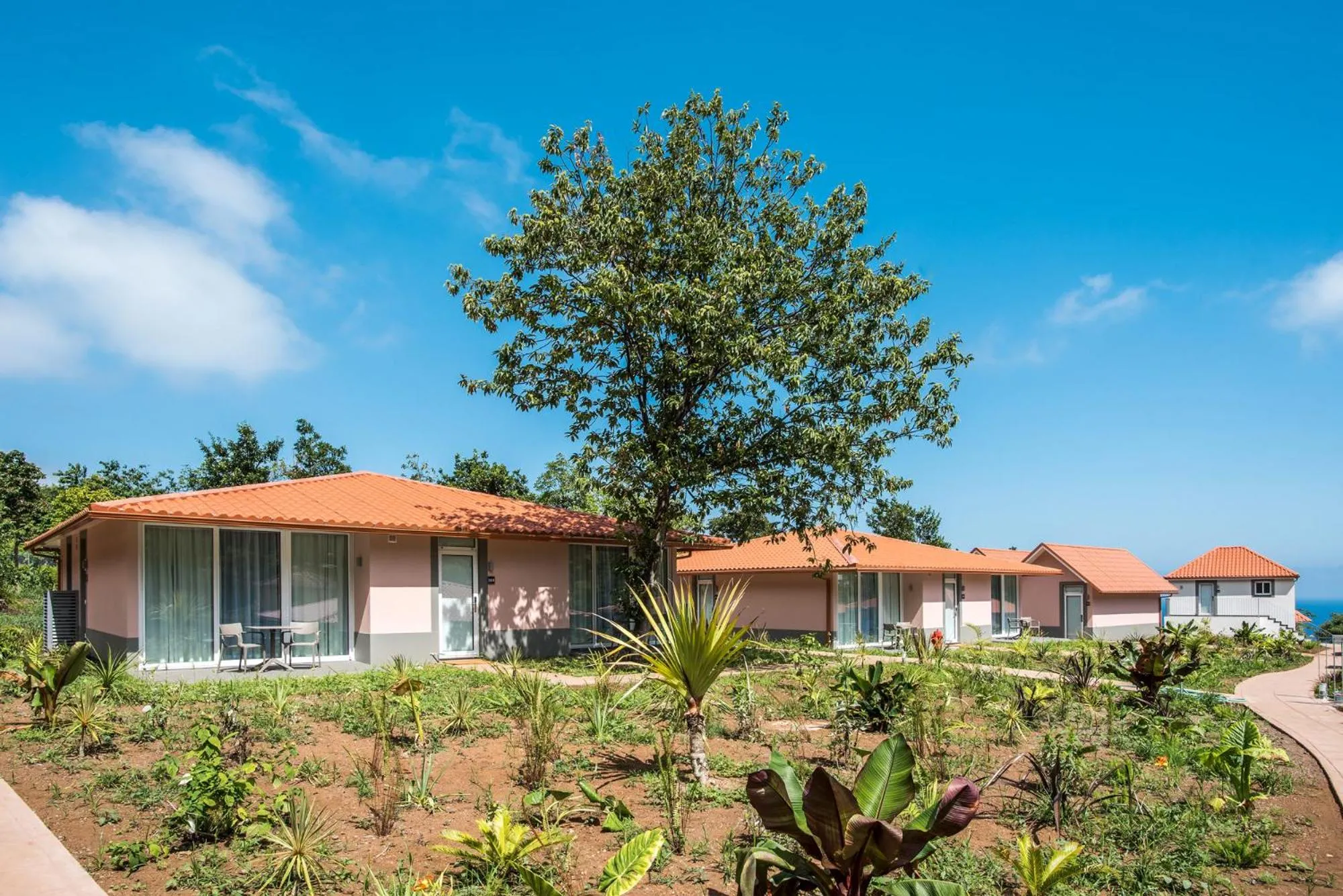 Garden in Pestana Quinta do Arco Nature & Rose Garden Hotel