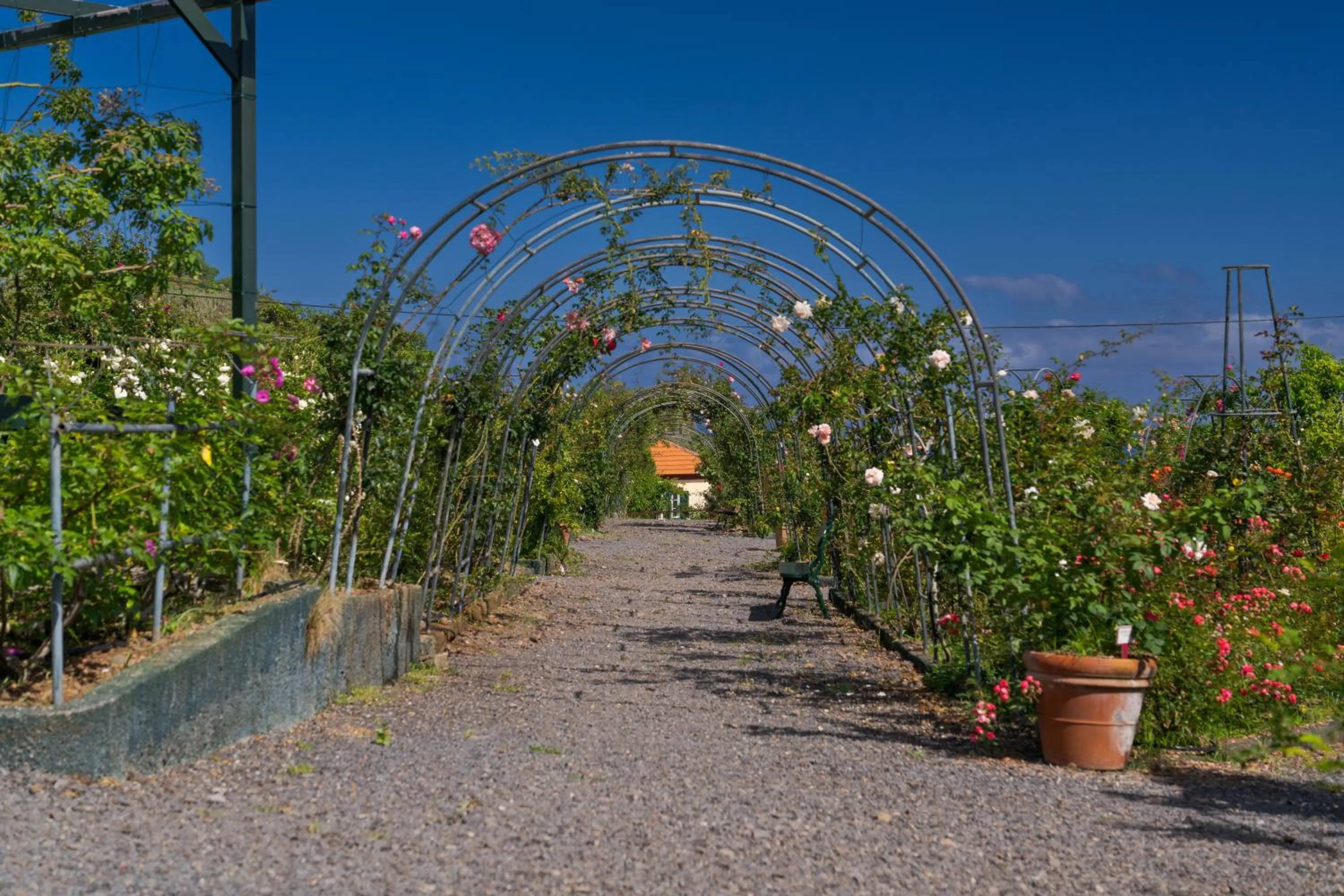 Garden in Pestana Quinta do Arco Nature & Rose Garden Hotel