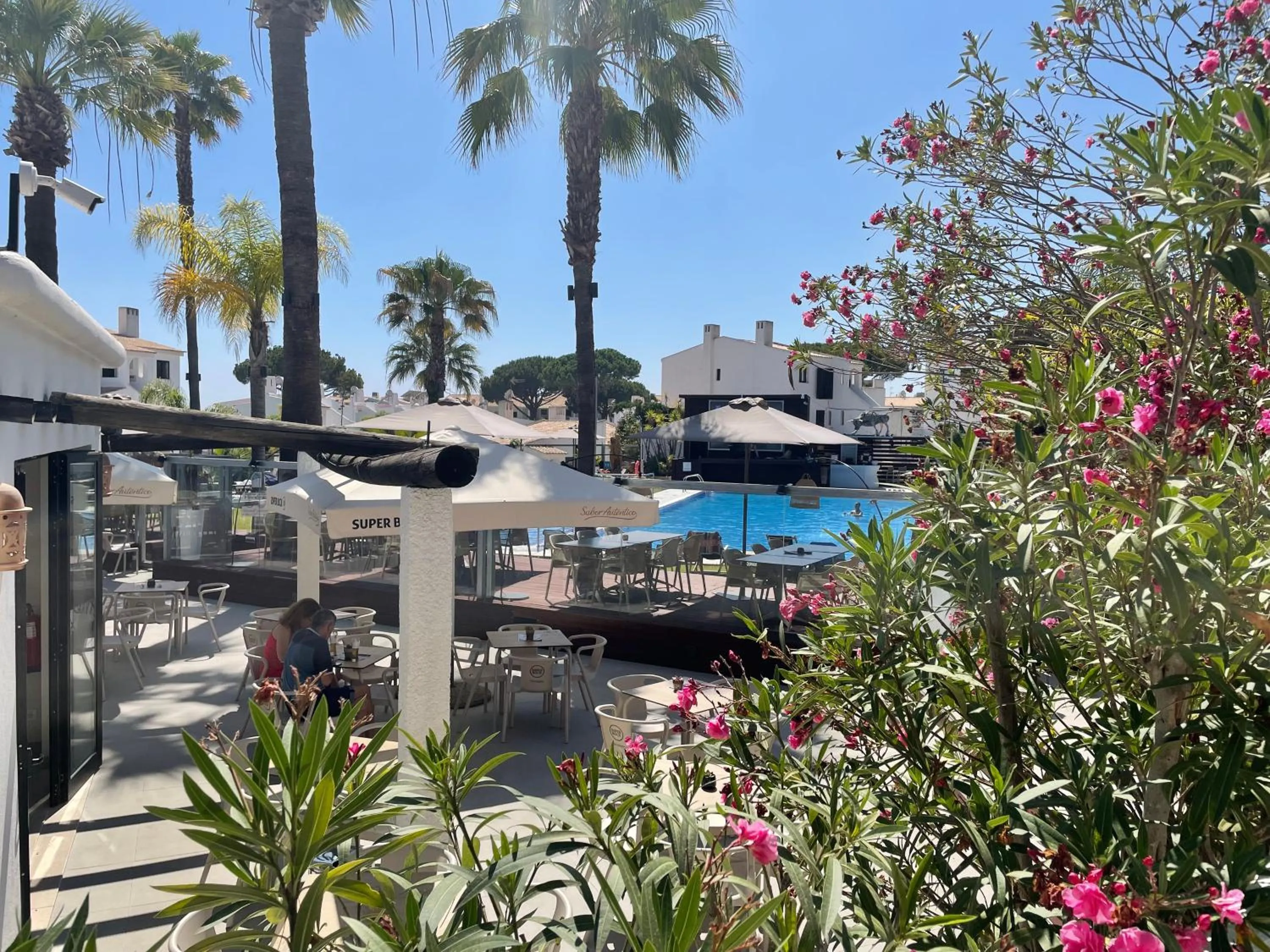 Garden in Apartamentos Honorio - Pool and Garden