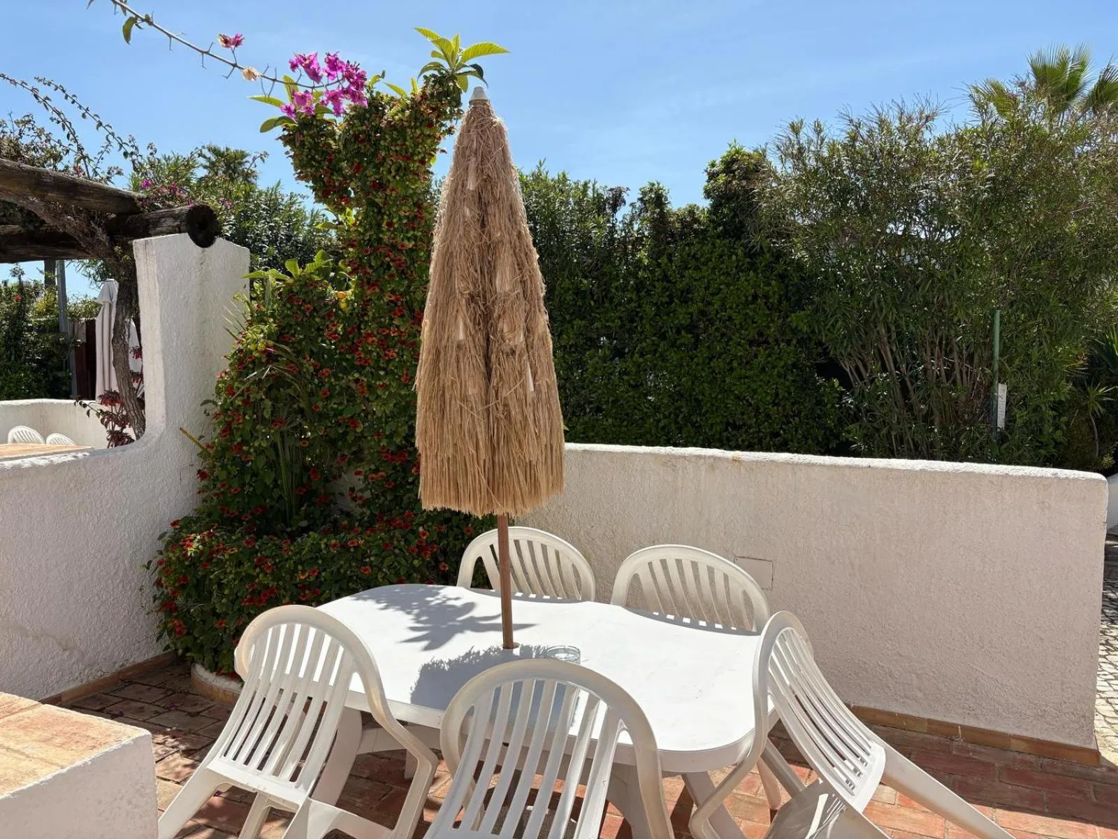 Patio in Apartamentos Honorio - Pool and Garden