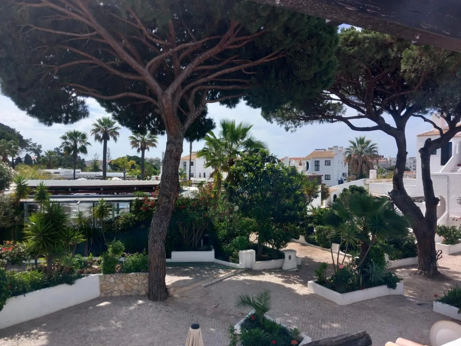 Garden view in Apartamentos Honorio - Pool and Garden