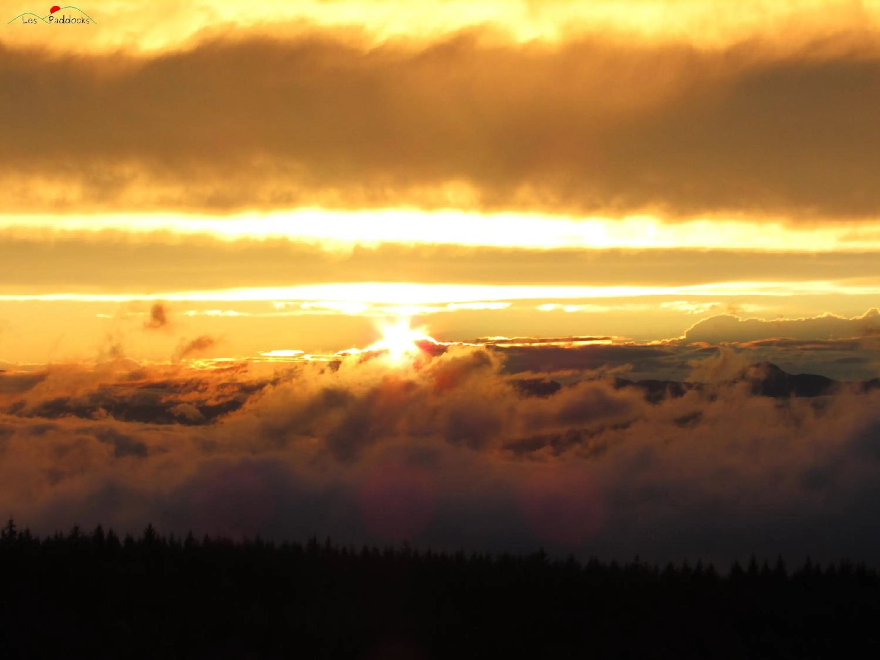 Natural landscape in B&B Les Paddocks