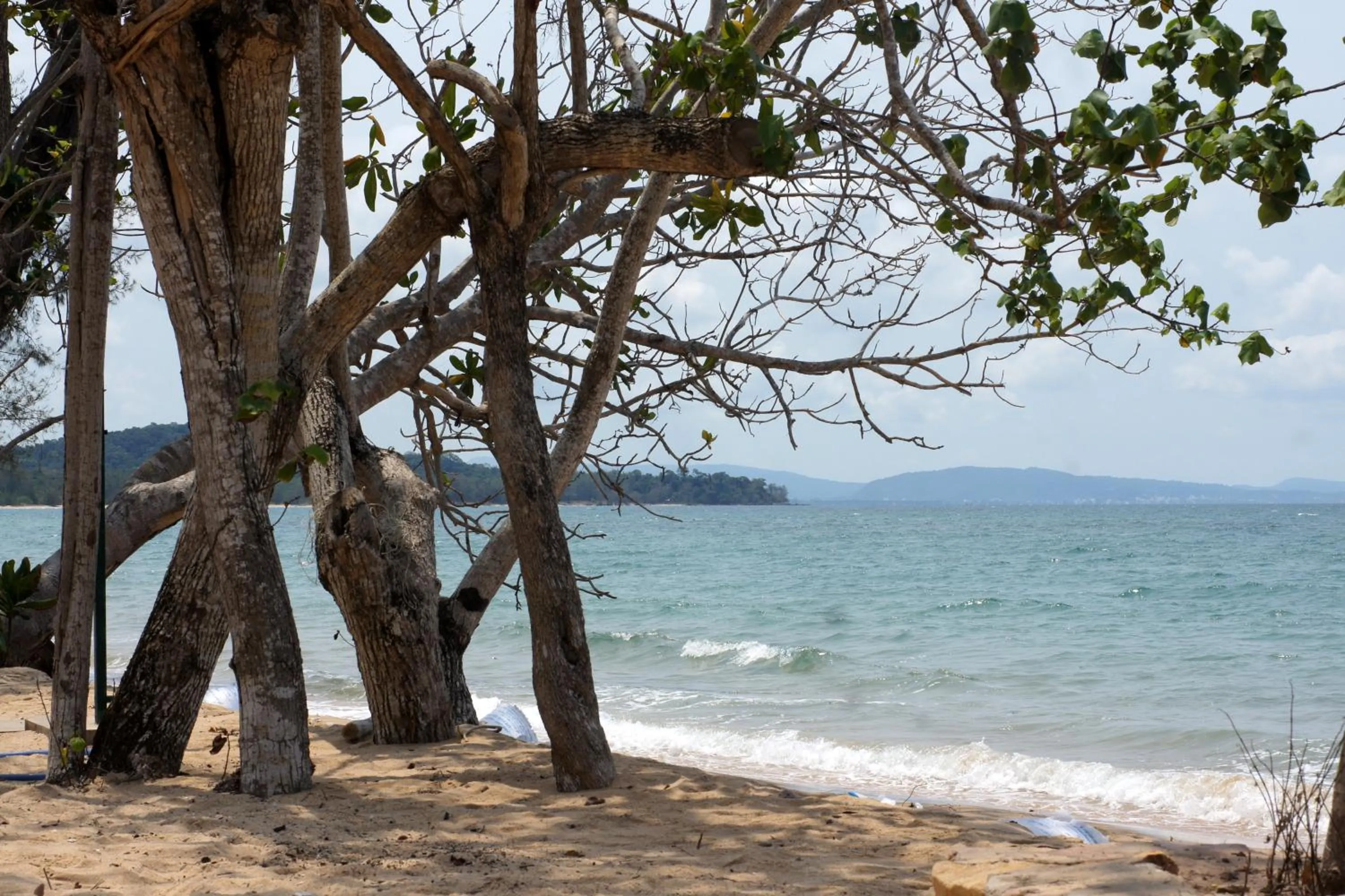 Beach in Gold Sand Beach Bungalow