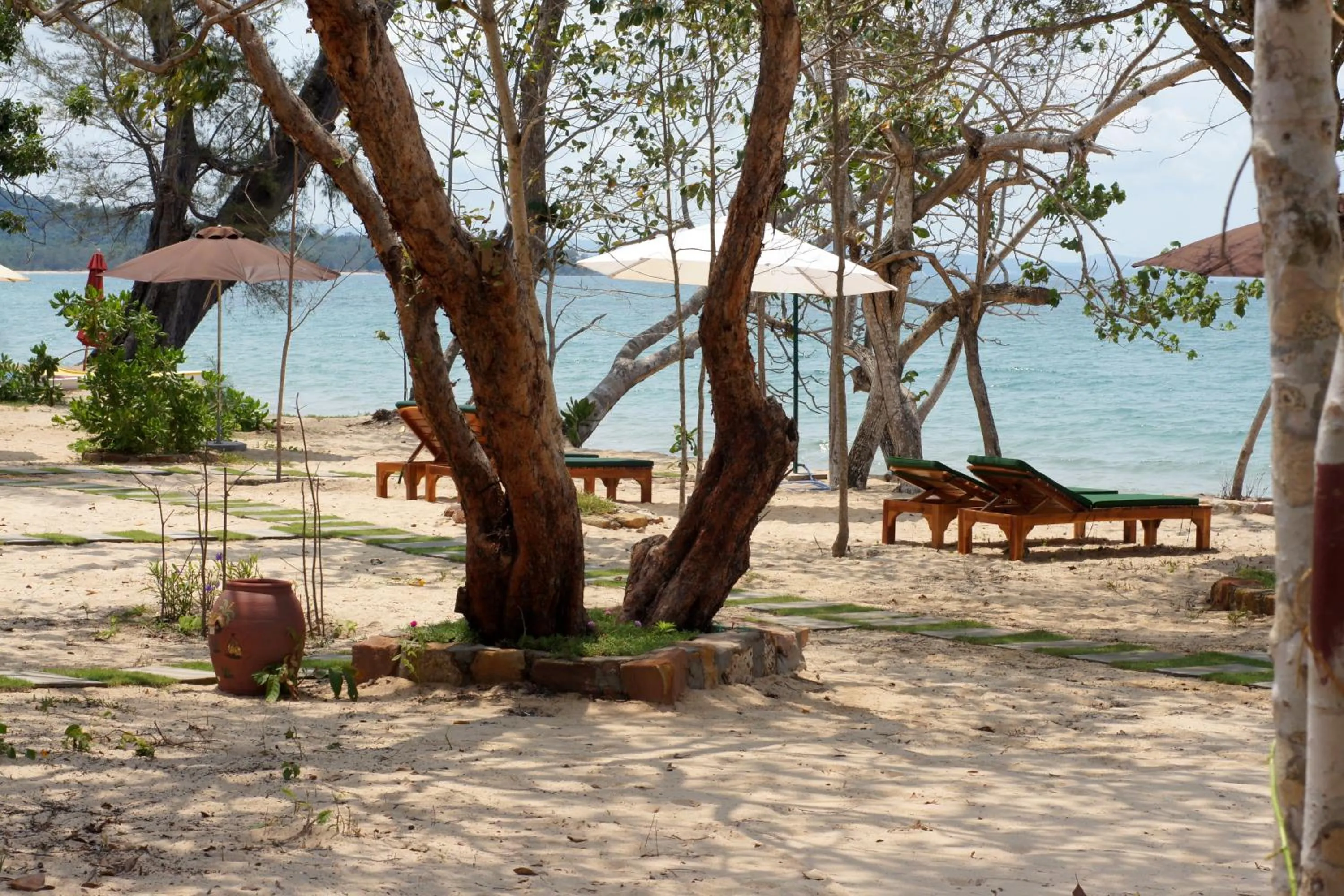 Garden in Gold Sand Beach Bungalow