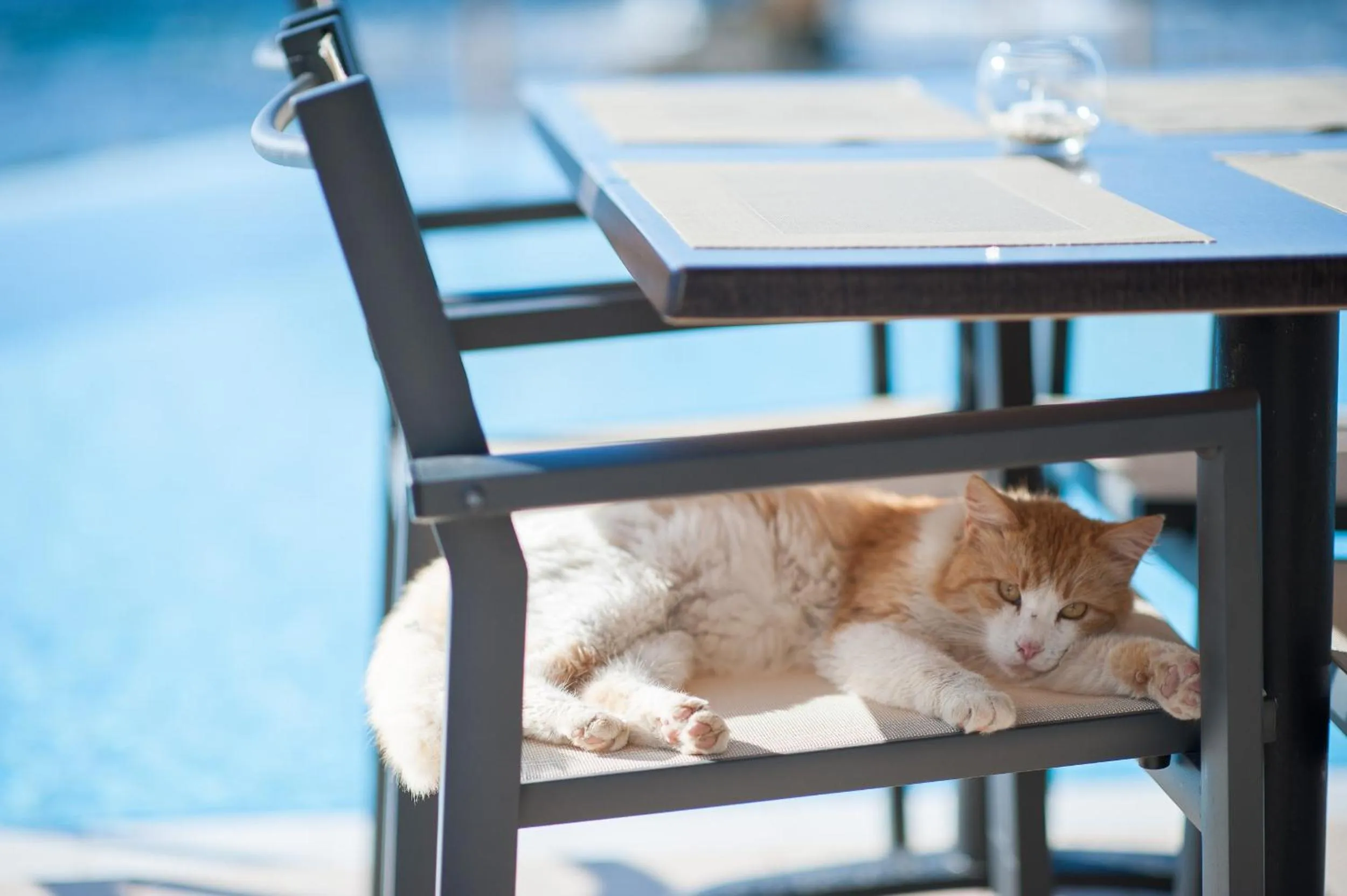 Other in Corinna Mare