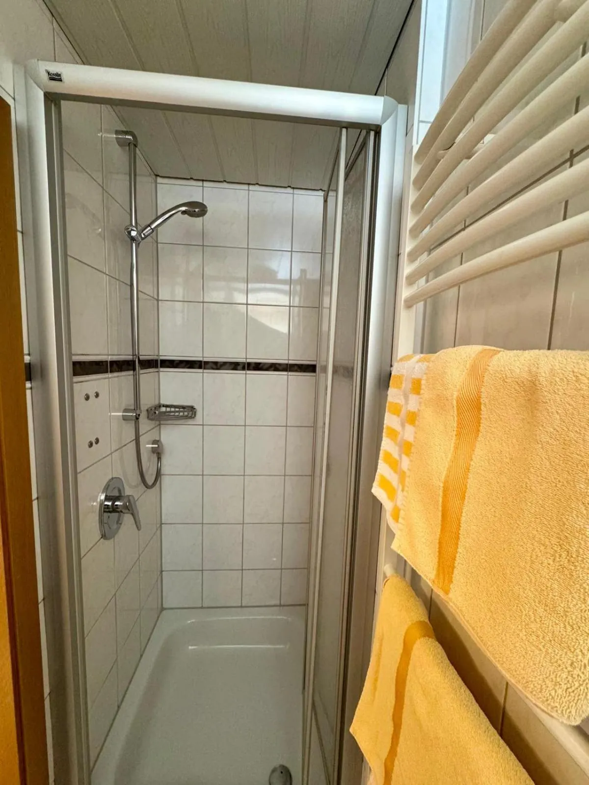 Shower in Hotel-Restaurant Gasthof Adler