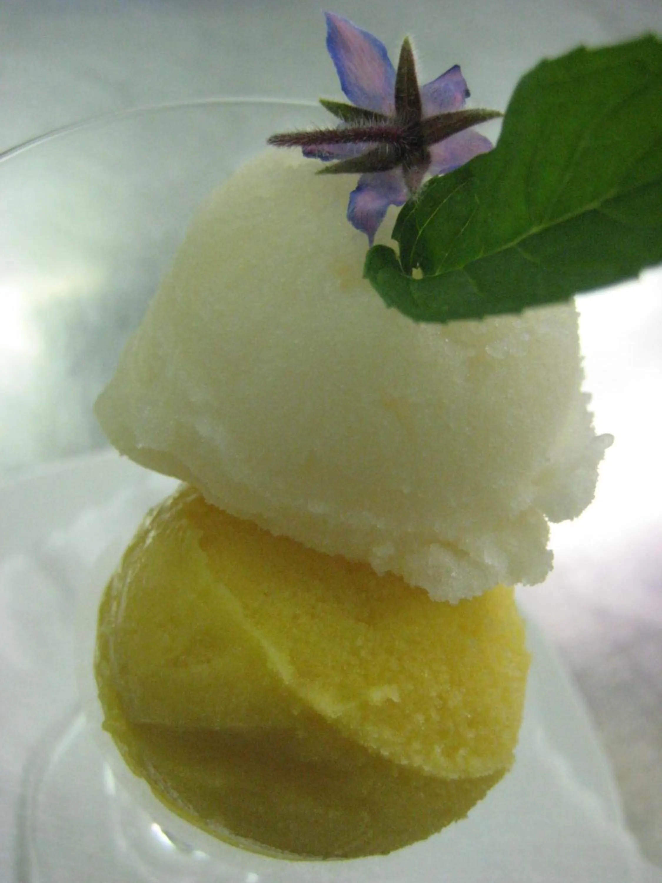 Food close-up in Hotel-Restaurant Gasthof Adler