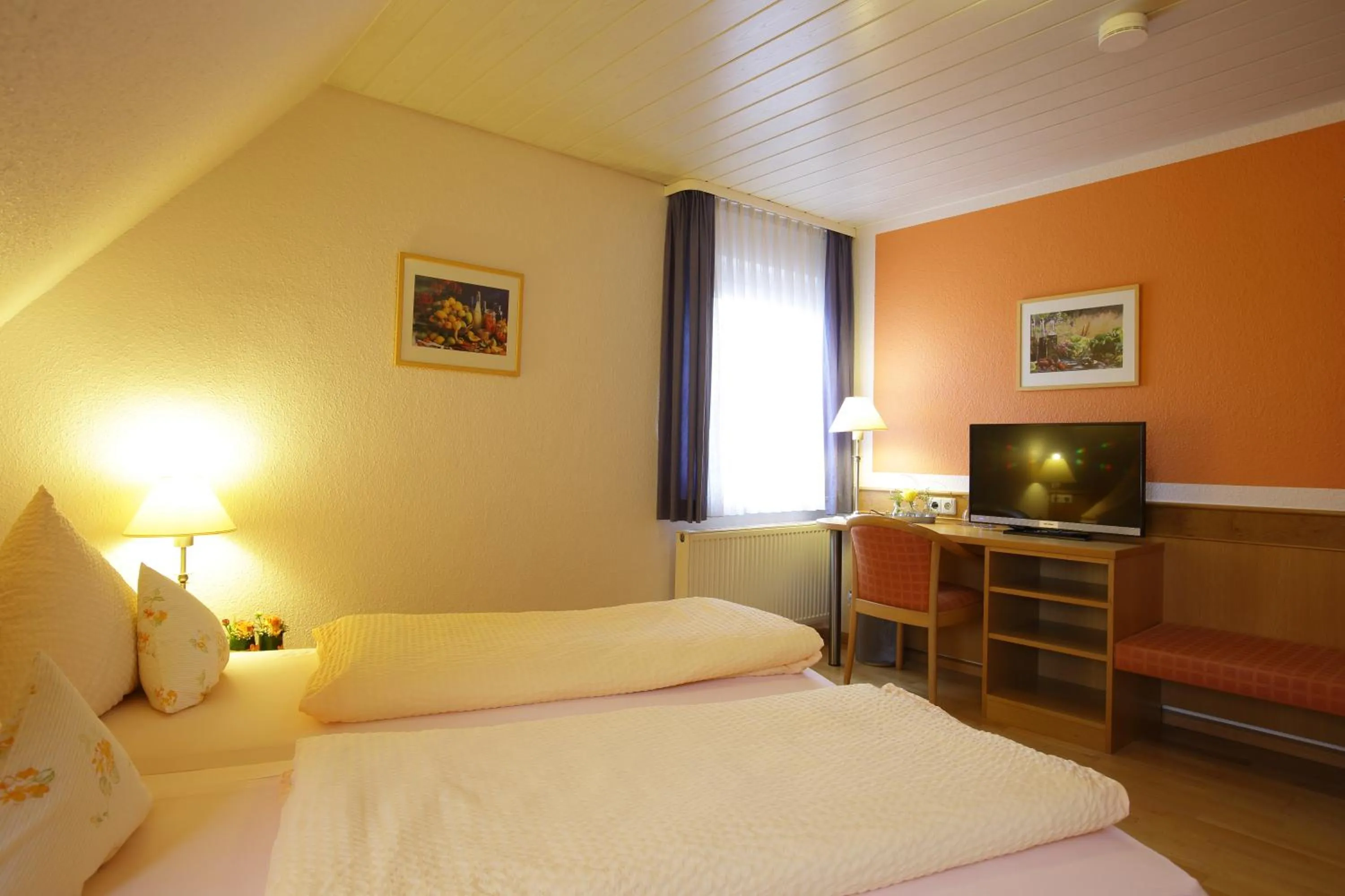 Double or Twin Room - single occupancy in Hotel-Restaurant Gasthof Adler