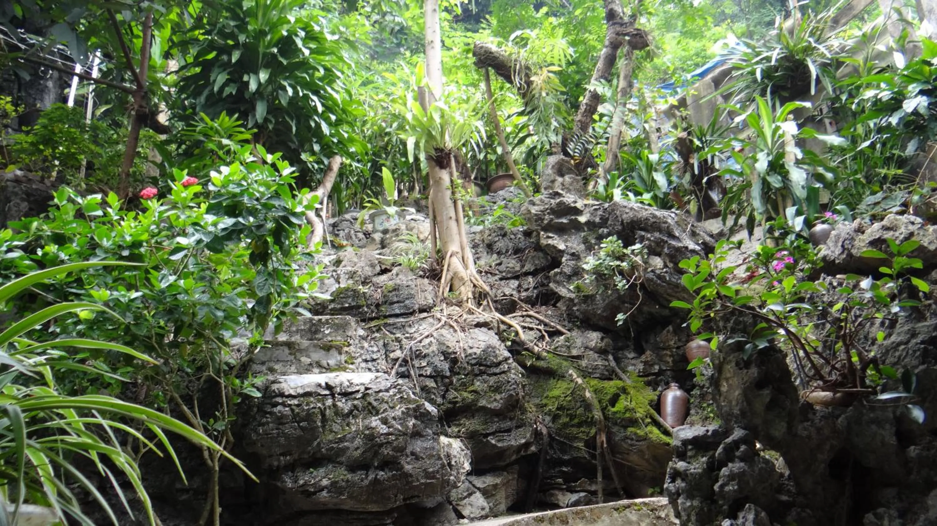 Garden in Huong Thao 2 Hotel