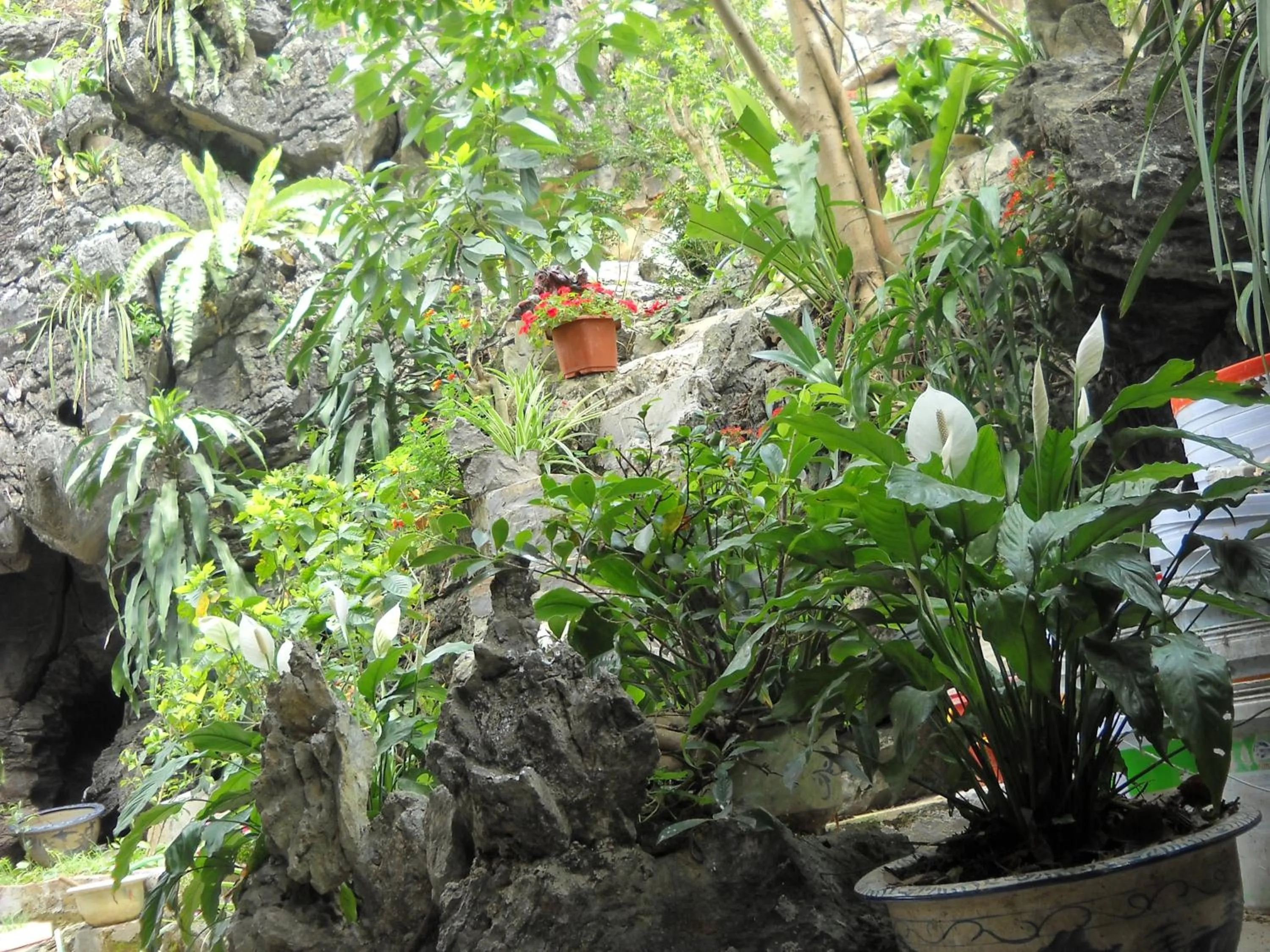 Day in Huong Thao 2 Hotel