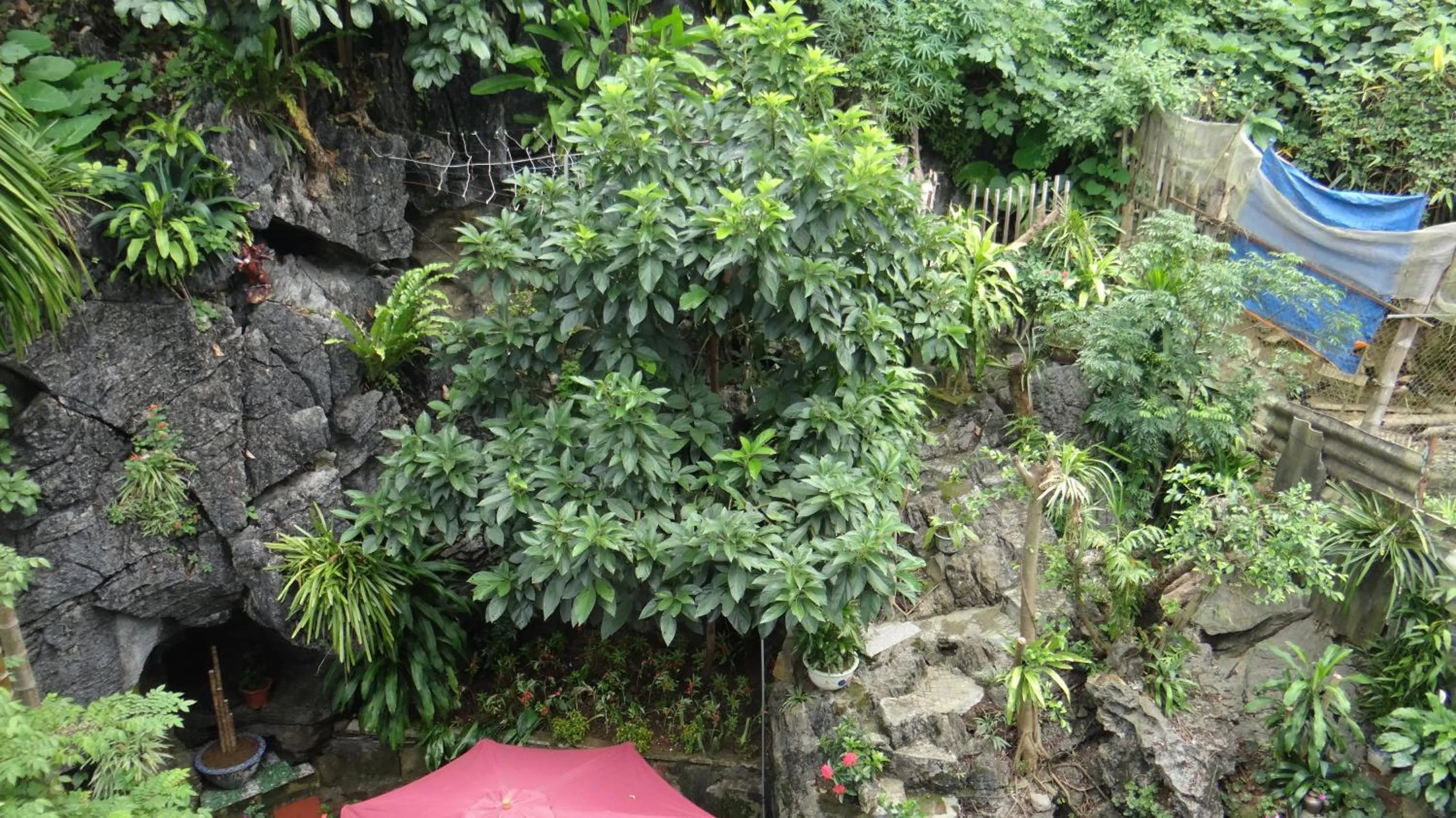 Garden in Huong Thao 2 Hotel