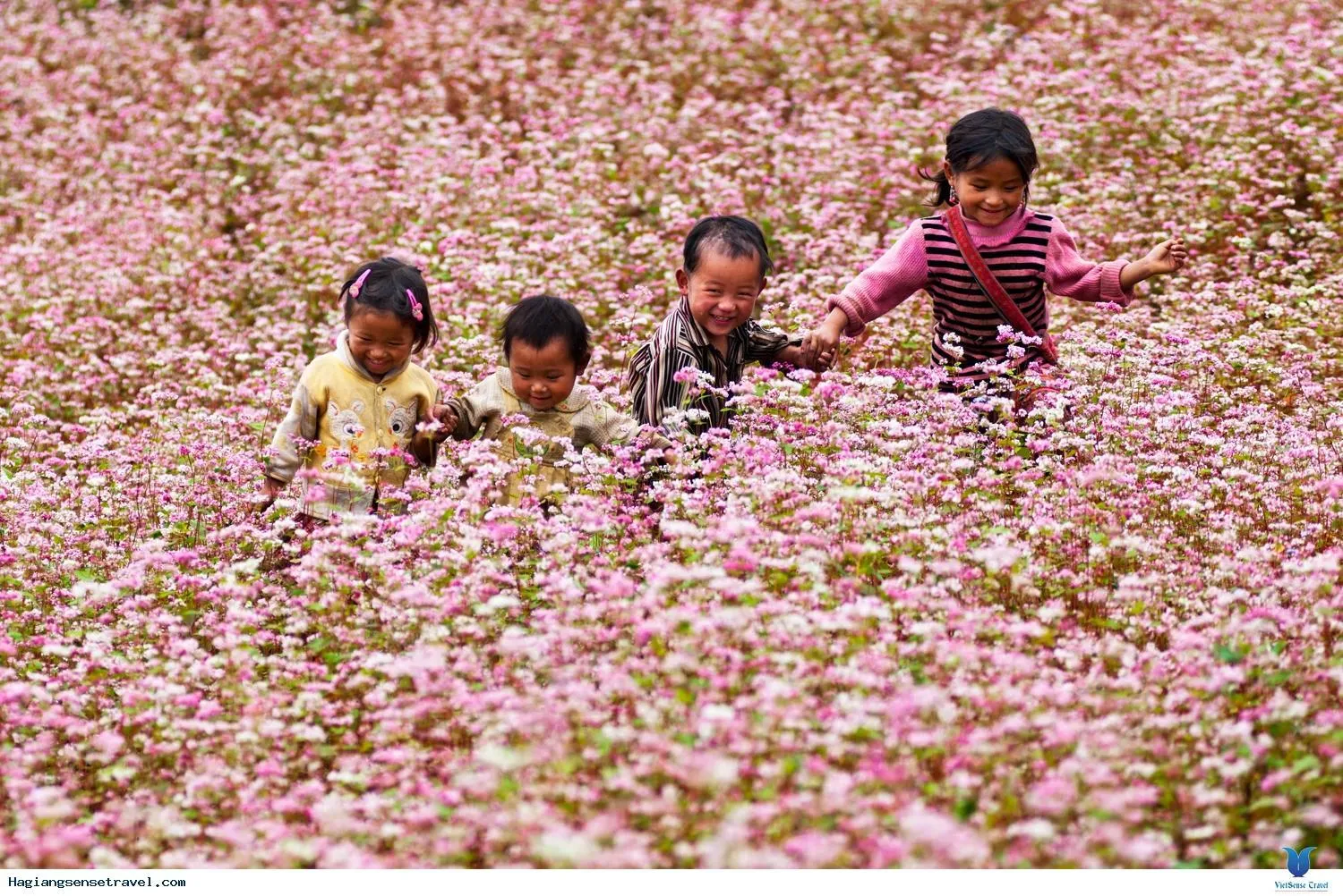 Property building in Huong Thao 2 Hotel