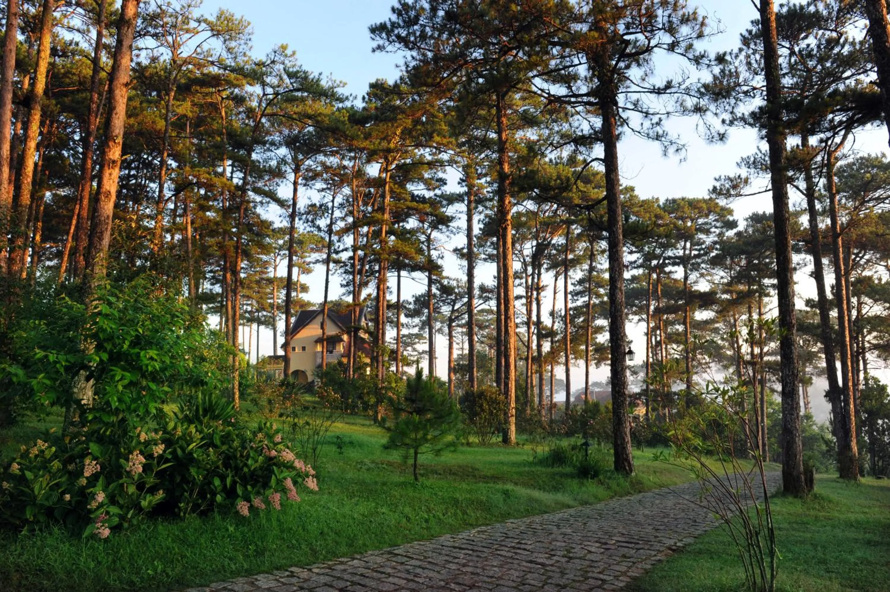 View (from property/room) in Ana Mandara Villas Dalat Resort & Spa