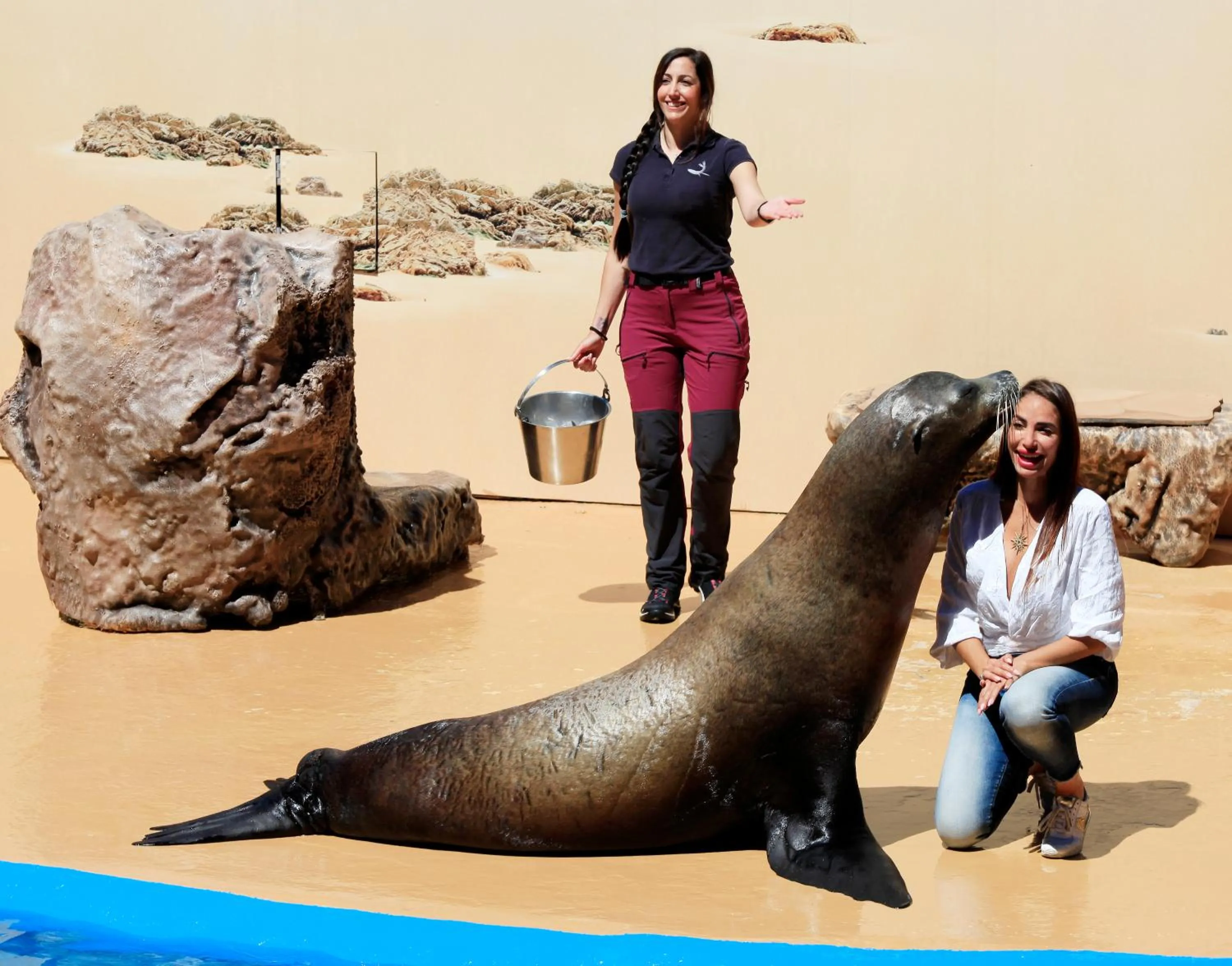 Children play ground in Four Points by Sheraton Costa Blanca Resort