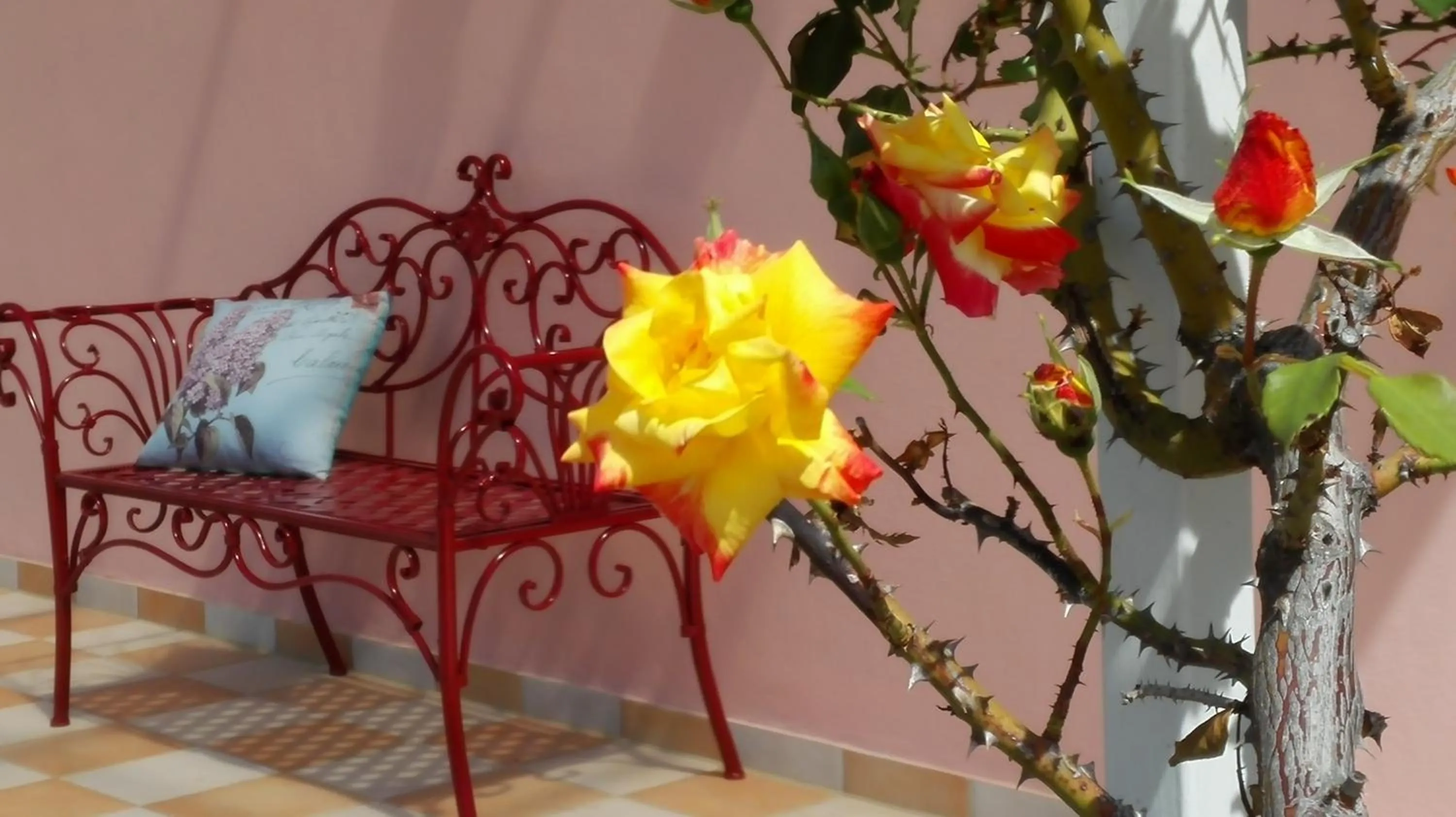 Garden in Hotel Villa Sevasti