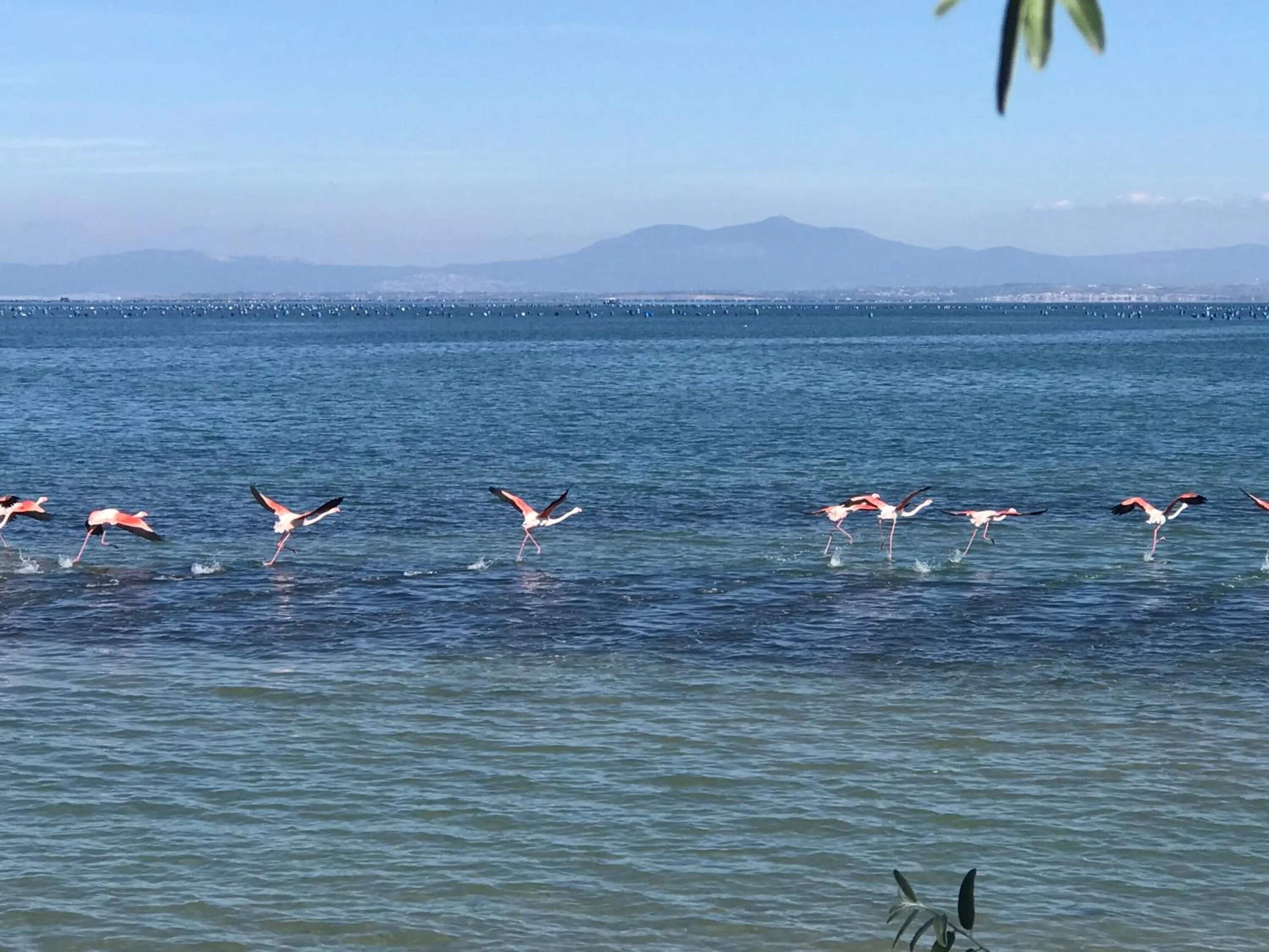 Natural landscape in Hotel Villa Sevasti