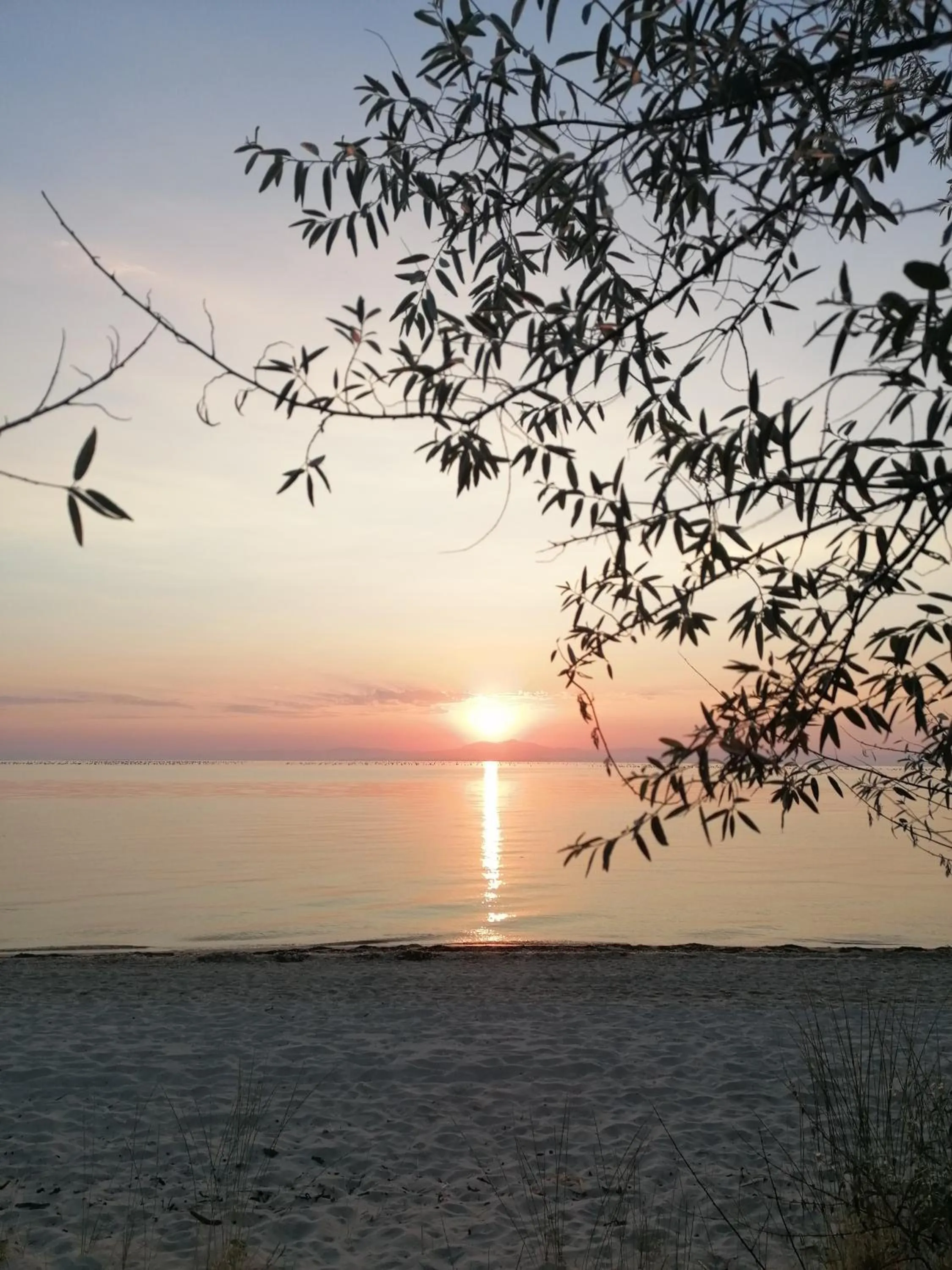 Beach in Hotel Villa Sevasti