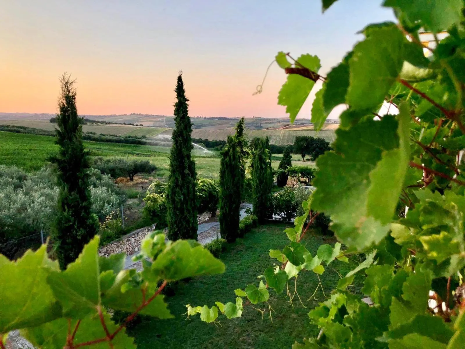 Garden view in Hotel Villa Sevasti