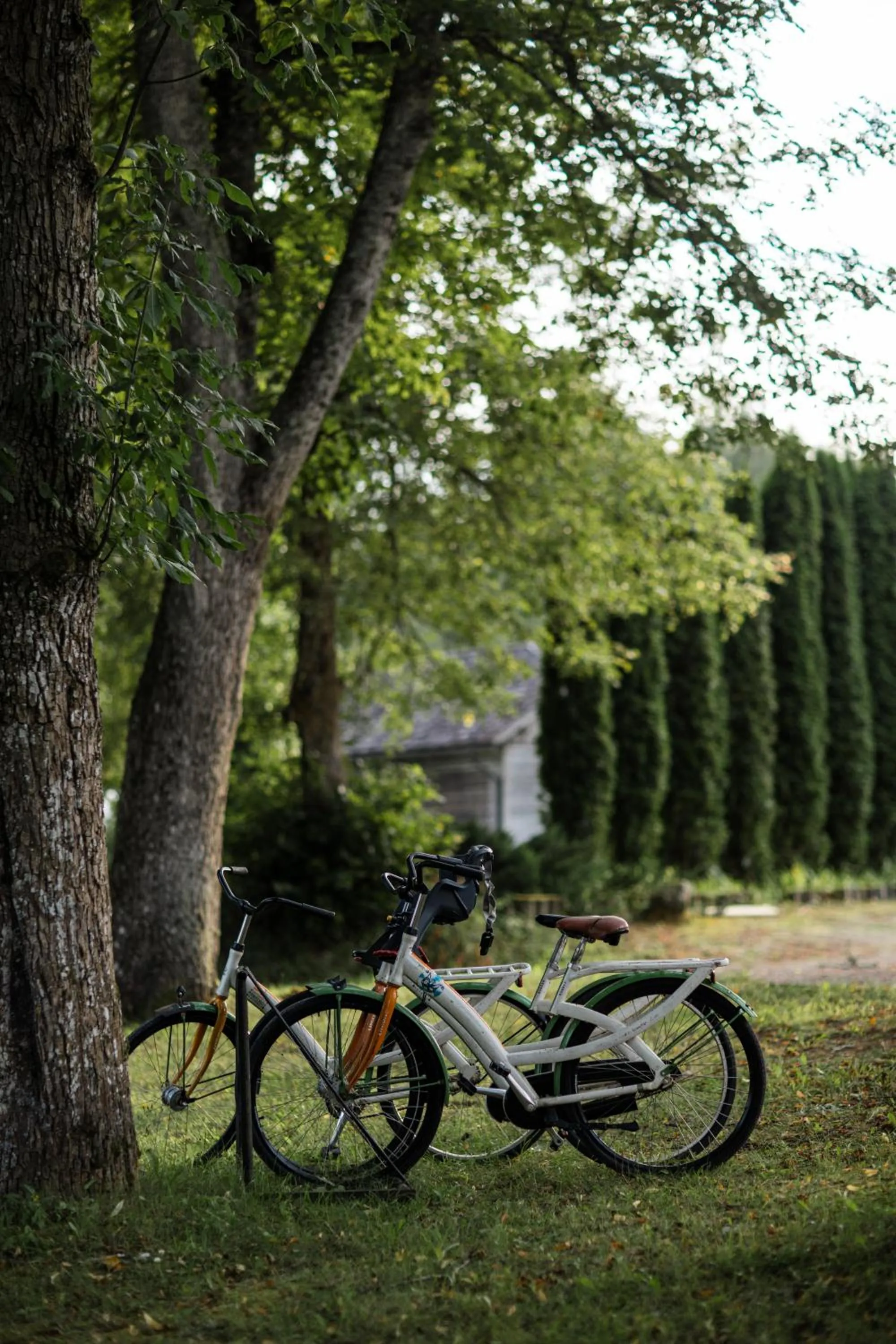 Marcienas Muiza & SPA