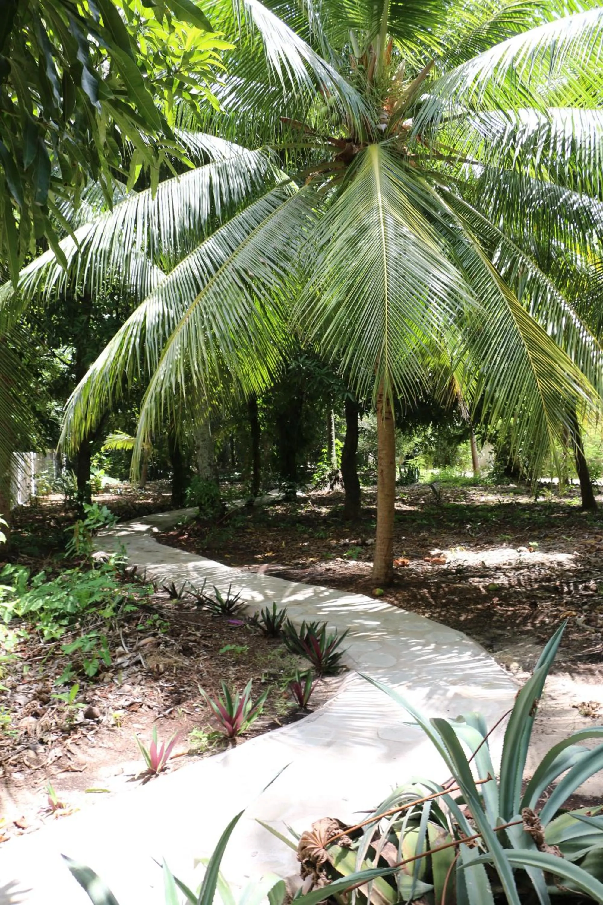 Hiking in Pousada Ponta de Mangue