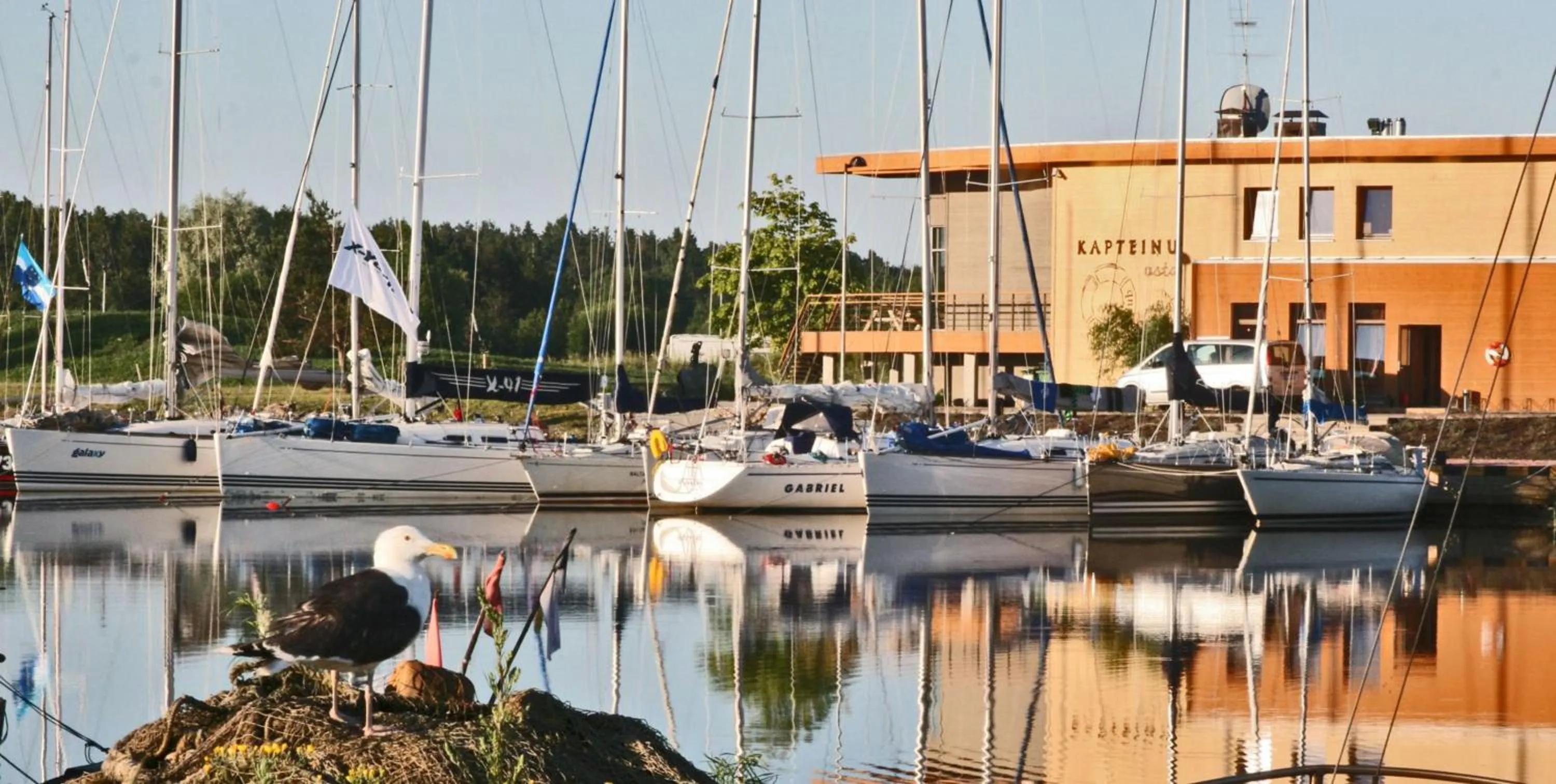 Neighbourhood in Kapteinu Osta