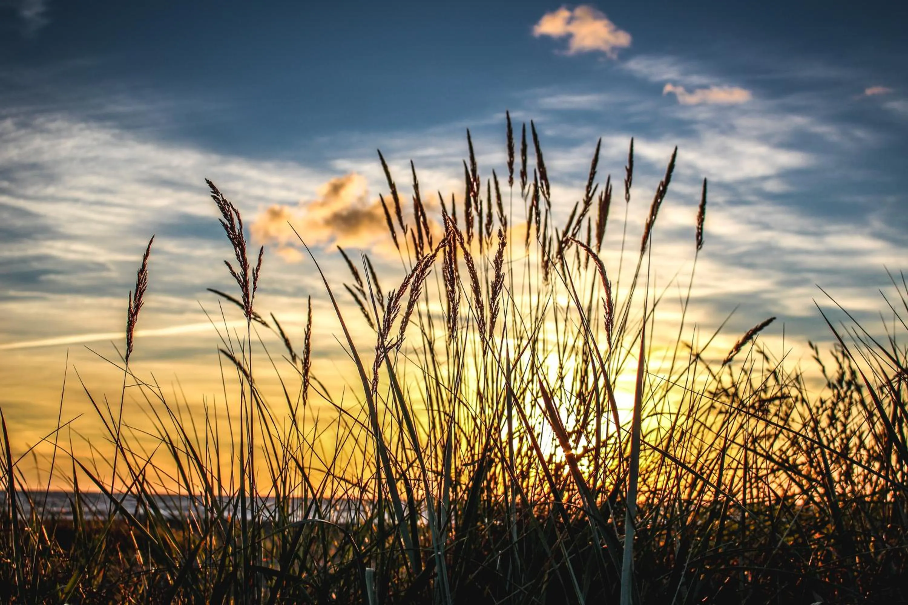 Beach in Kapteinu Osta