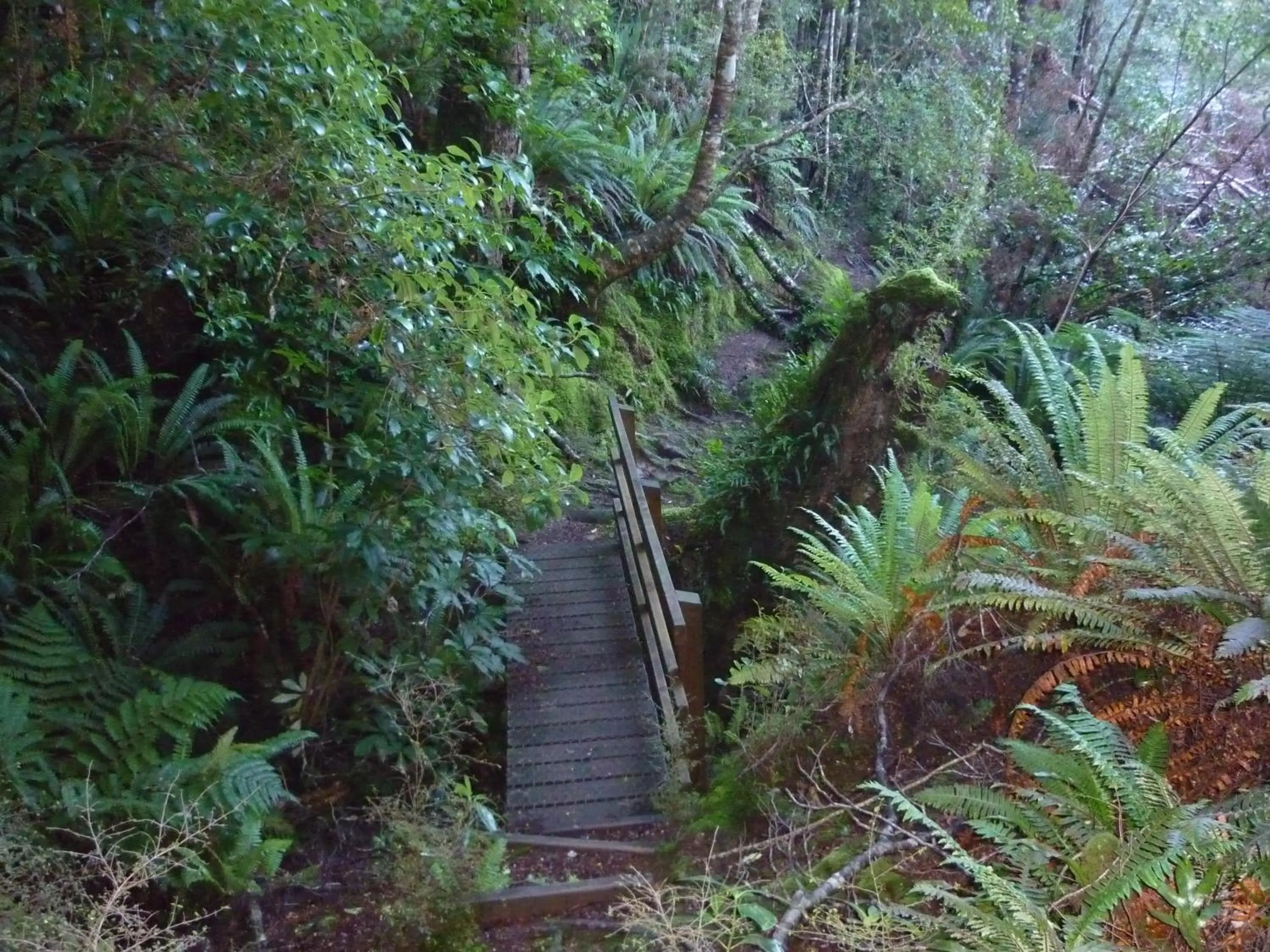 Fishing in Owaka Lodge Motel