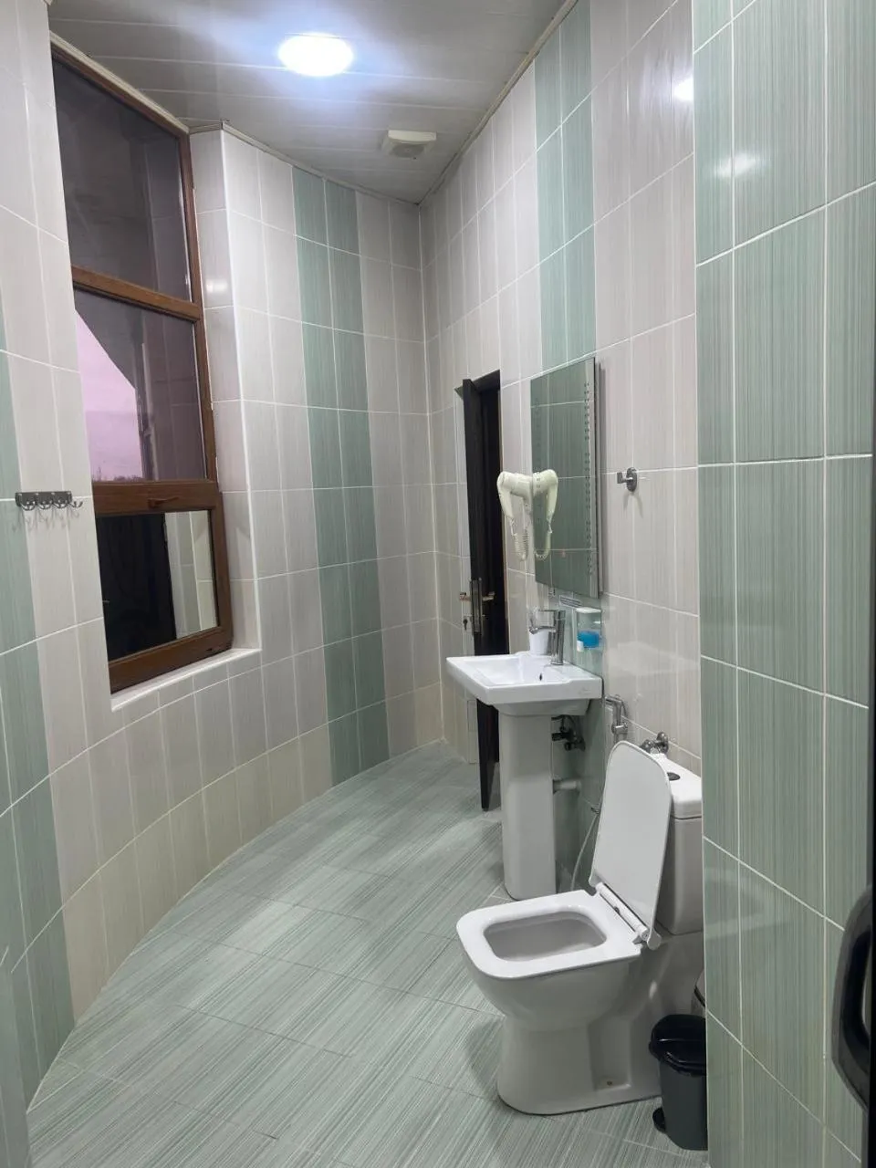 Toilet in Starway Hotel