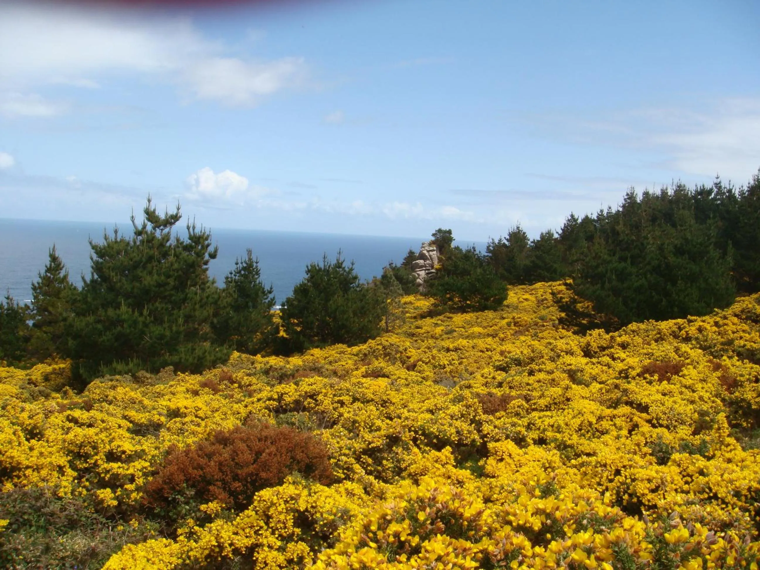 Natural landscape in Hotel Rustico Lugar Do Cotariño