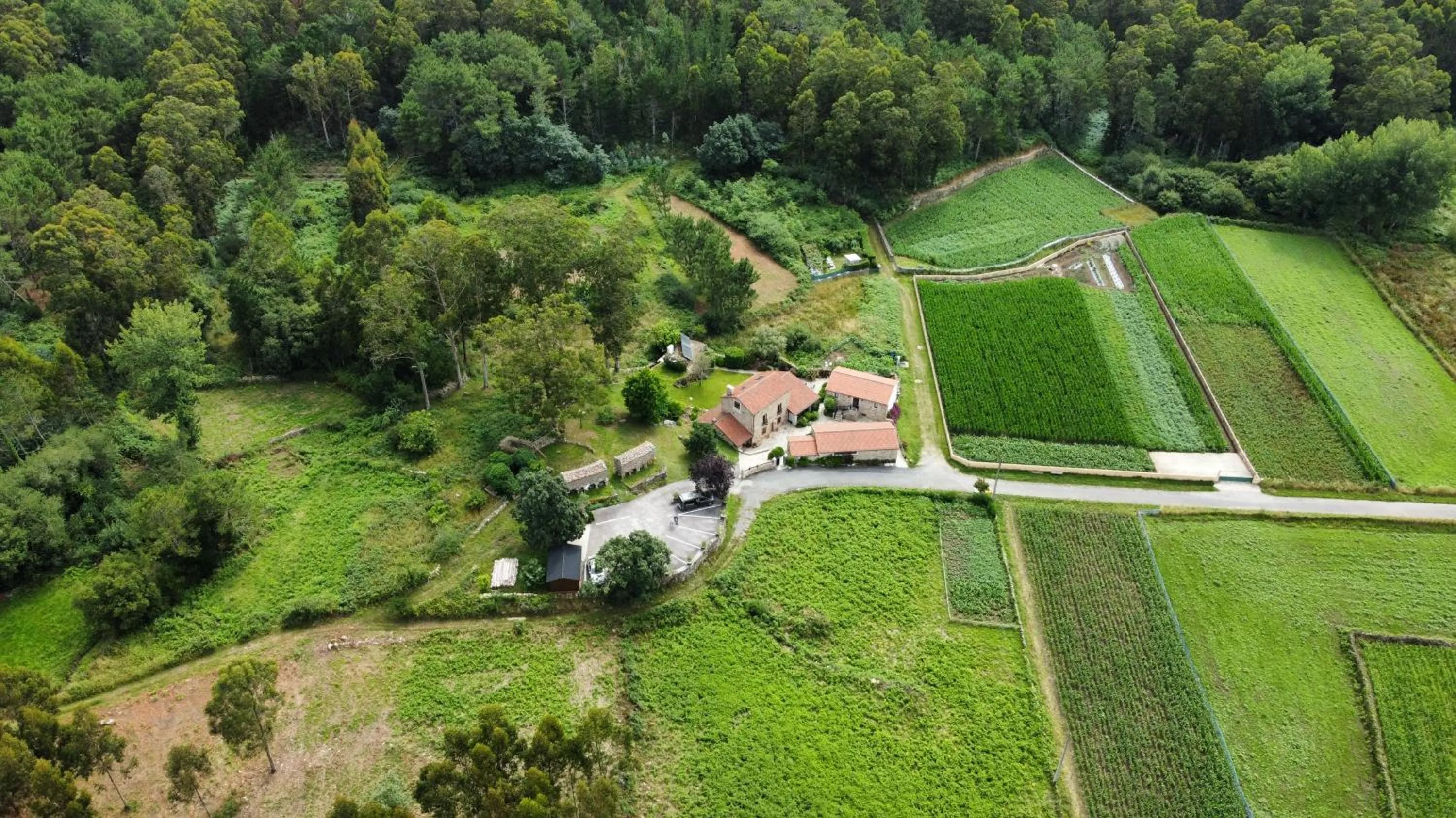 Hotel Rustico Lugar Do Cotariño