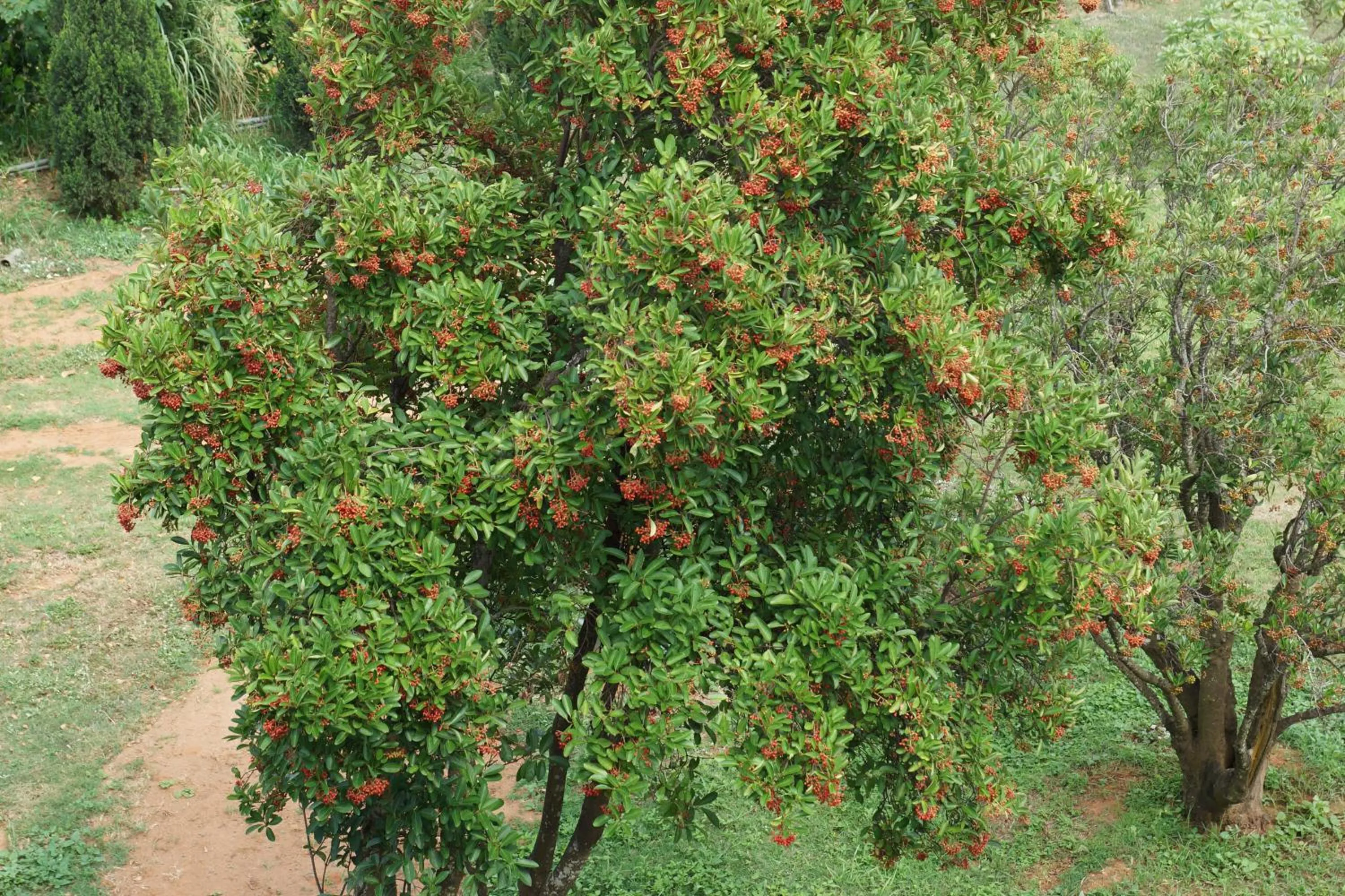 Property building in Coral B&B