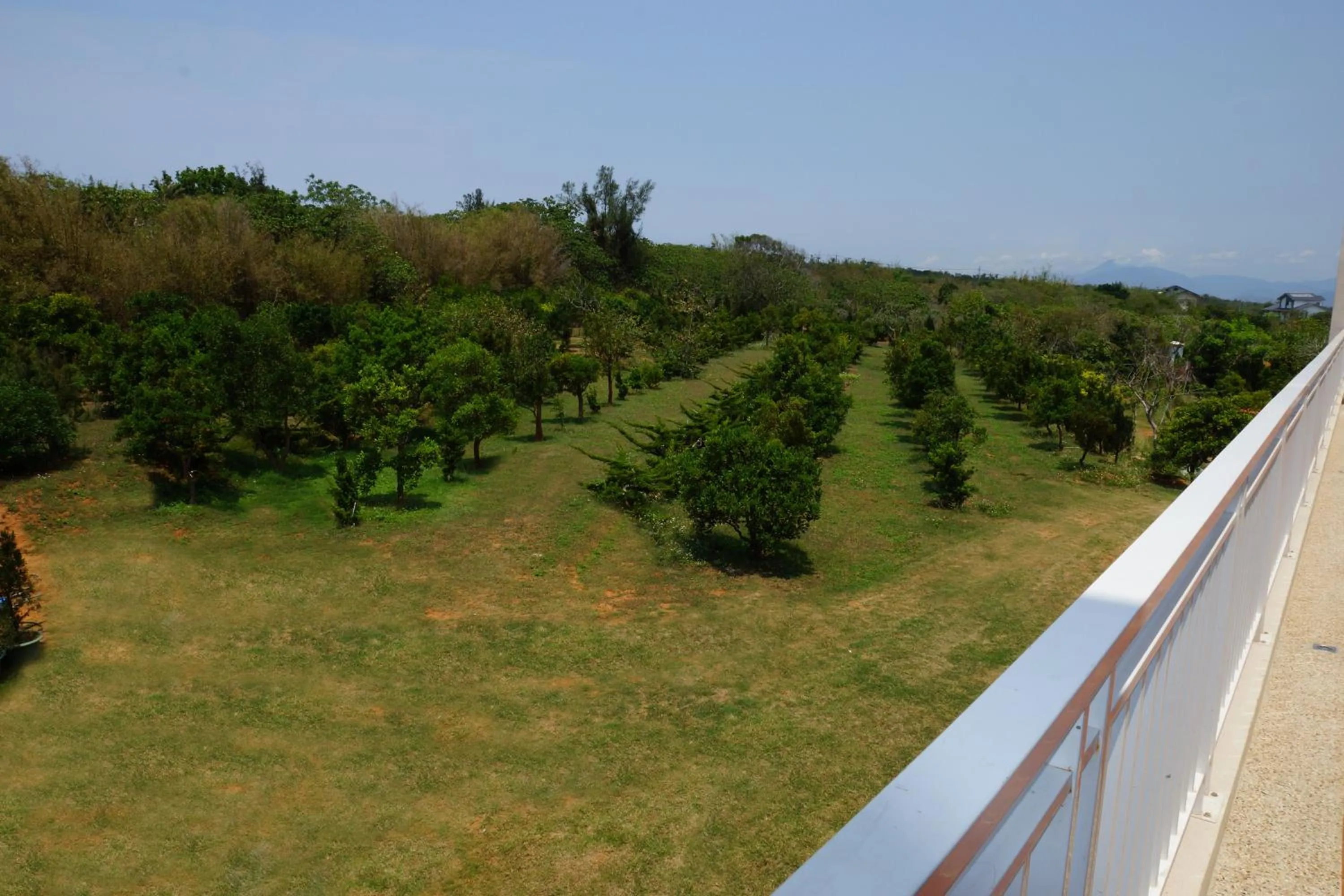 Property building in Coral B&B