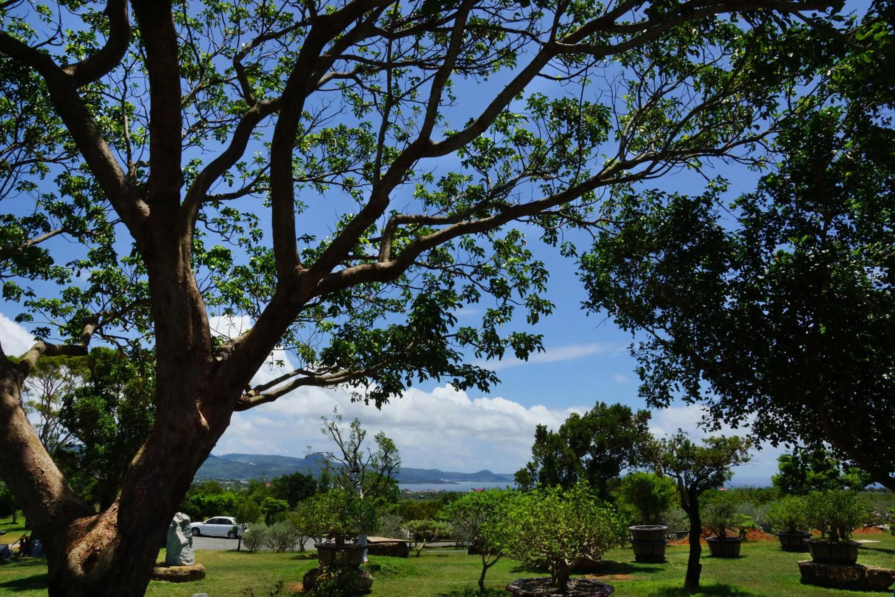 Property building in Coral B&B