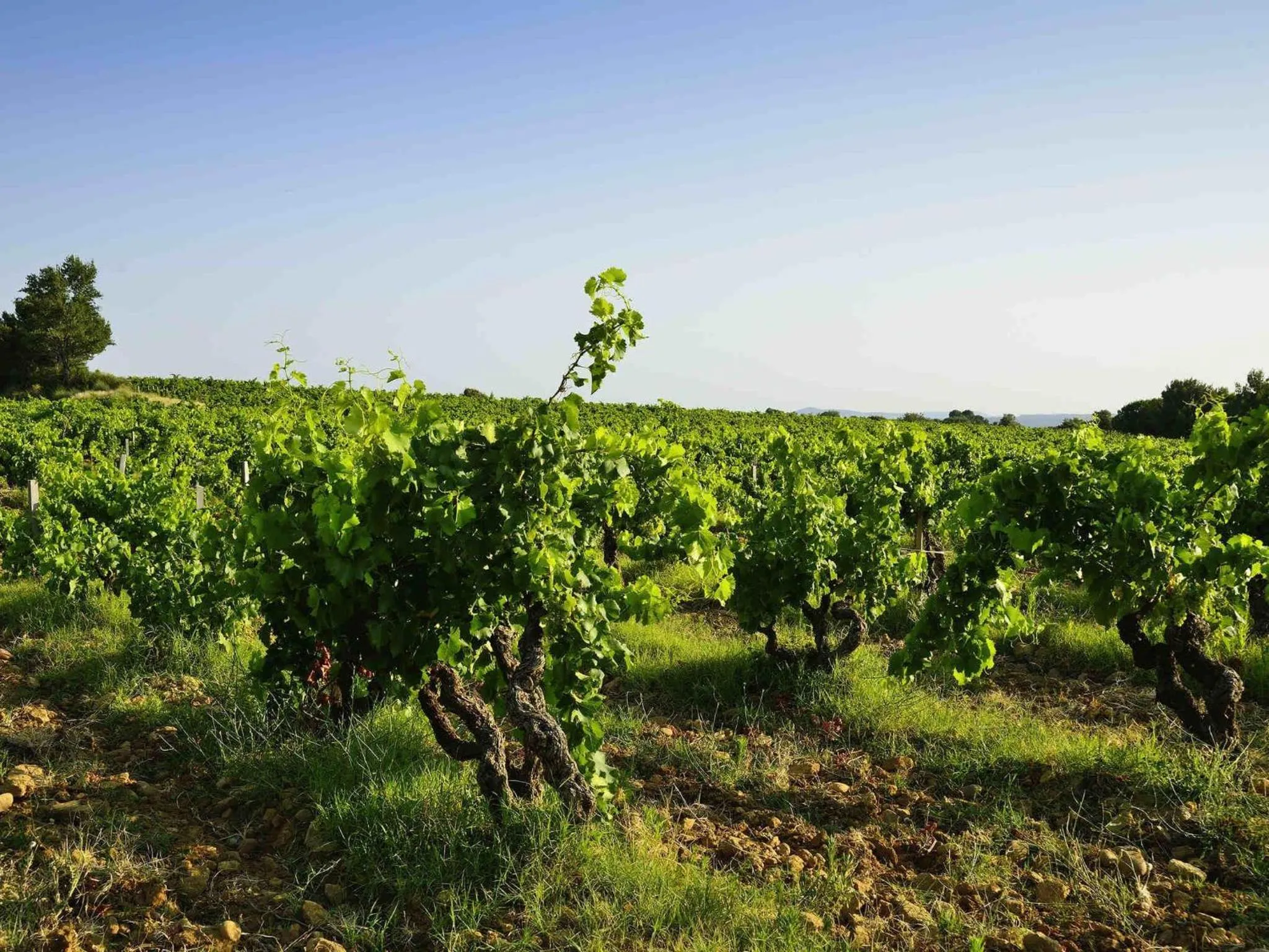 Other in ibis Orange Centre