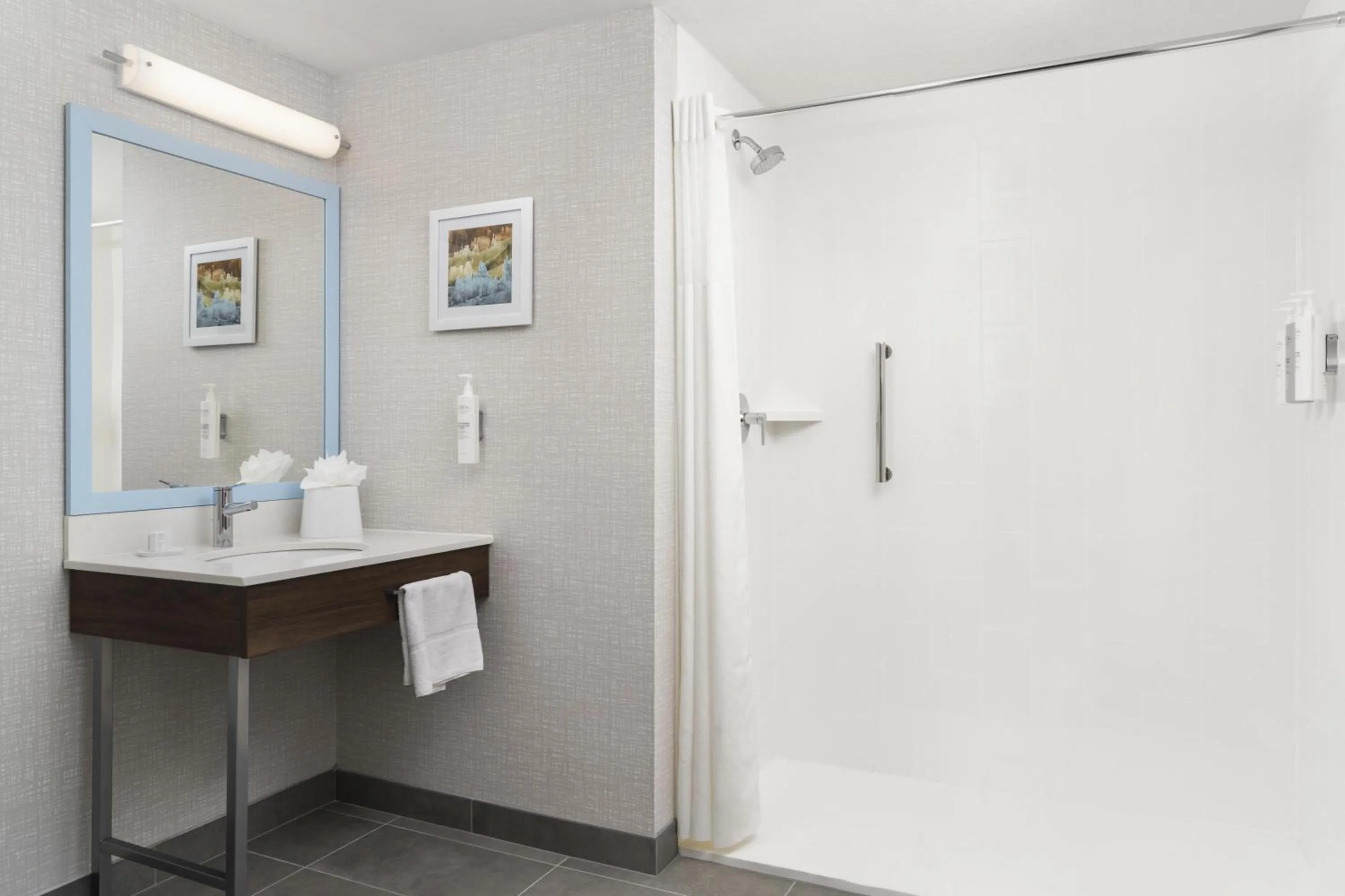 Bathroom in Hampton Inn St. George