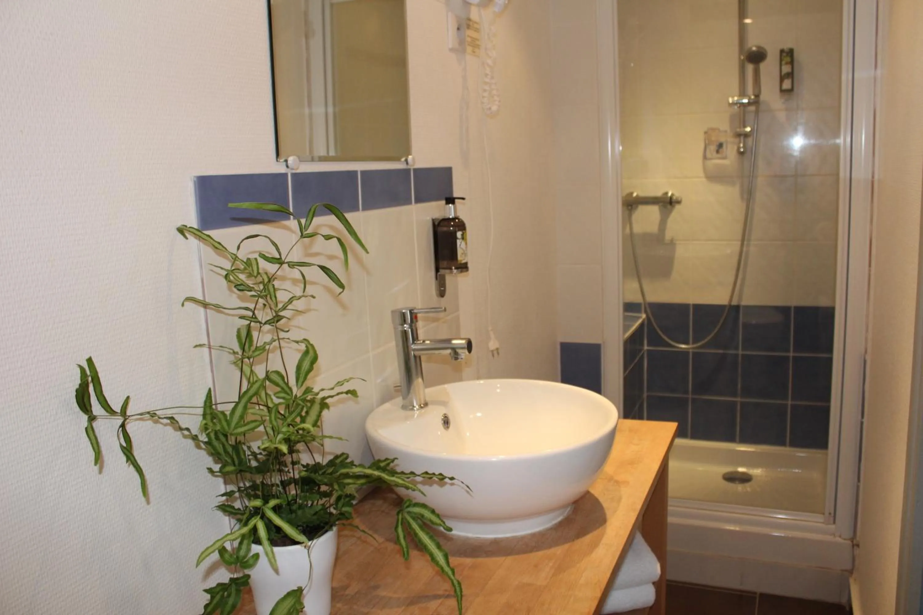 Bathroom in Hôtel & Spa Chai De La Paleine